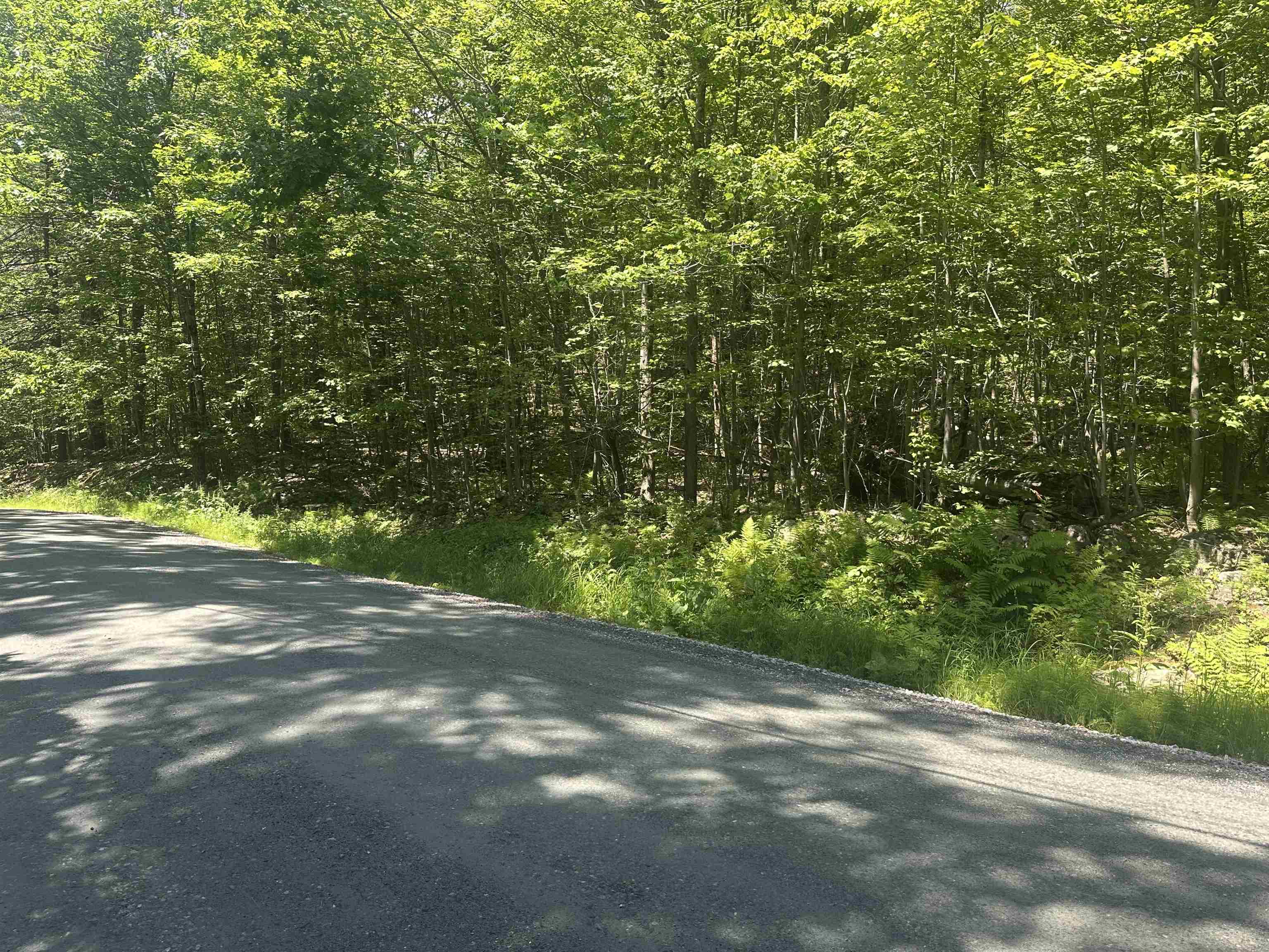 Lot 157 Old Province Rd, Newbury, NH 03255