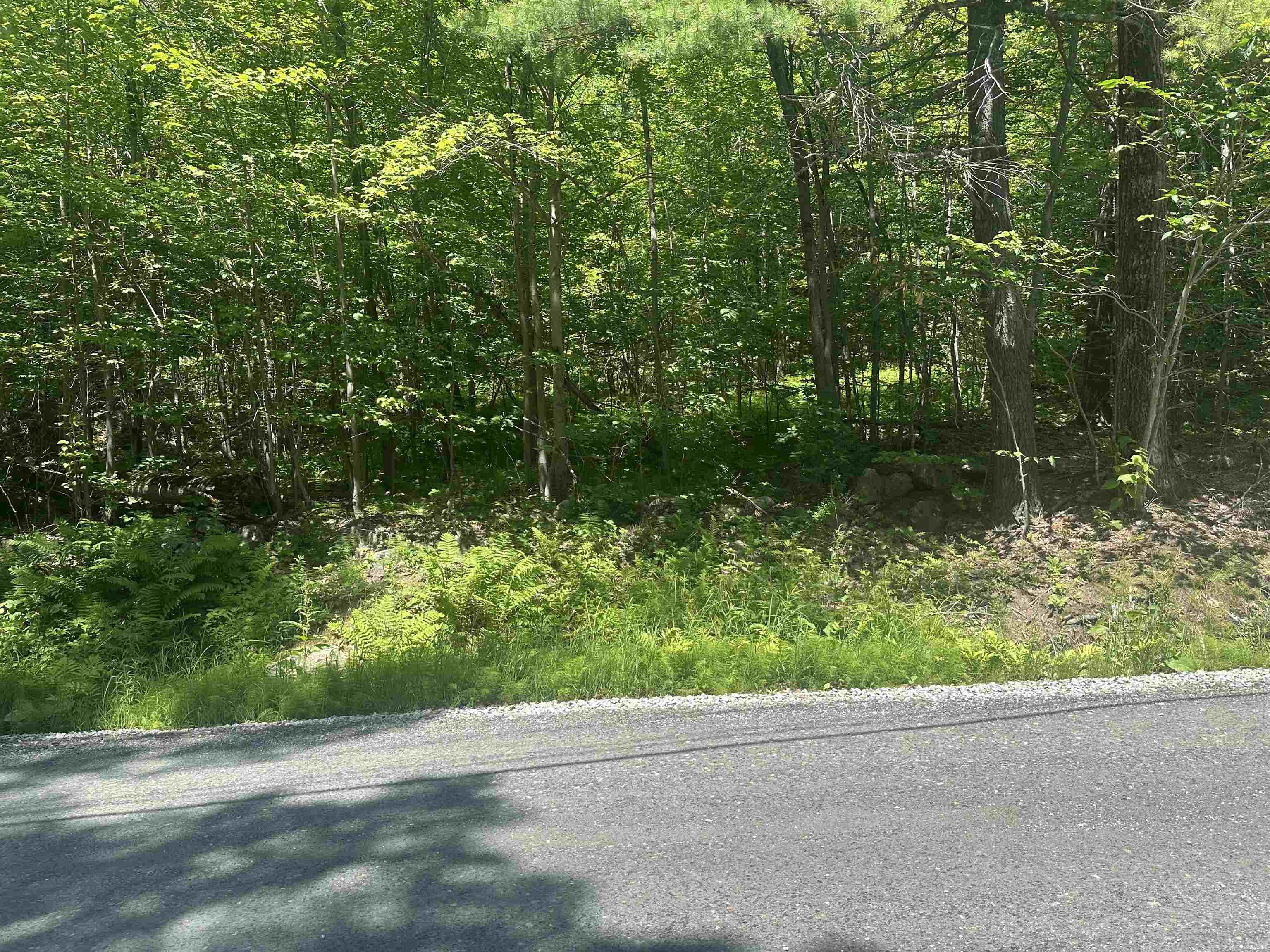Lot 157 Old Province Rd, Newbury, NH 03255