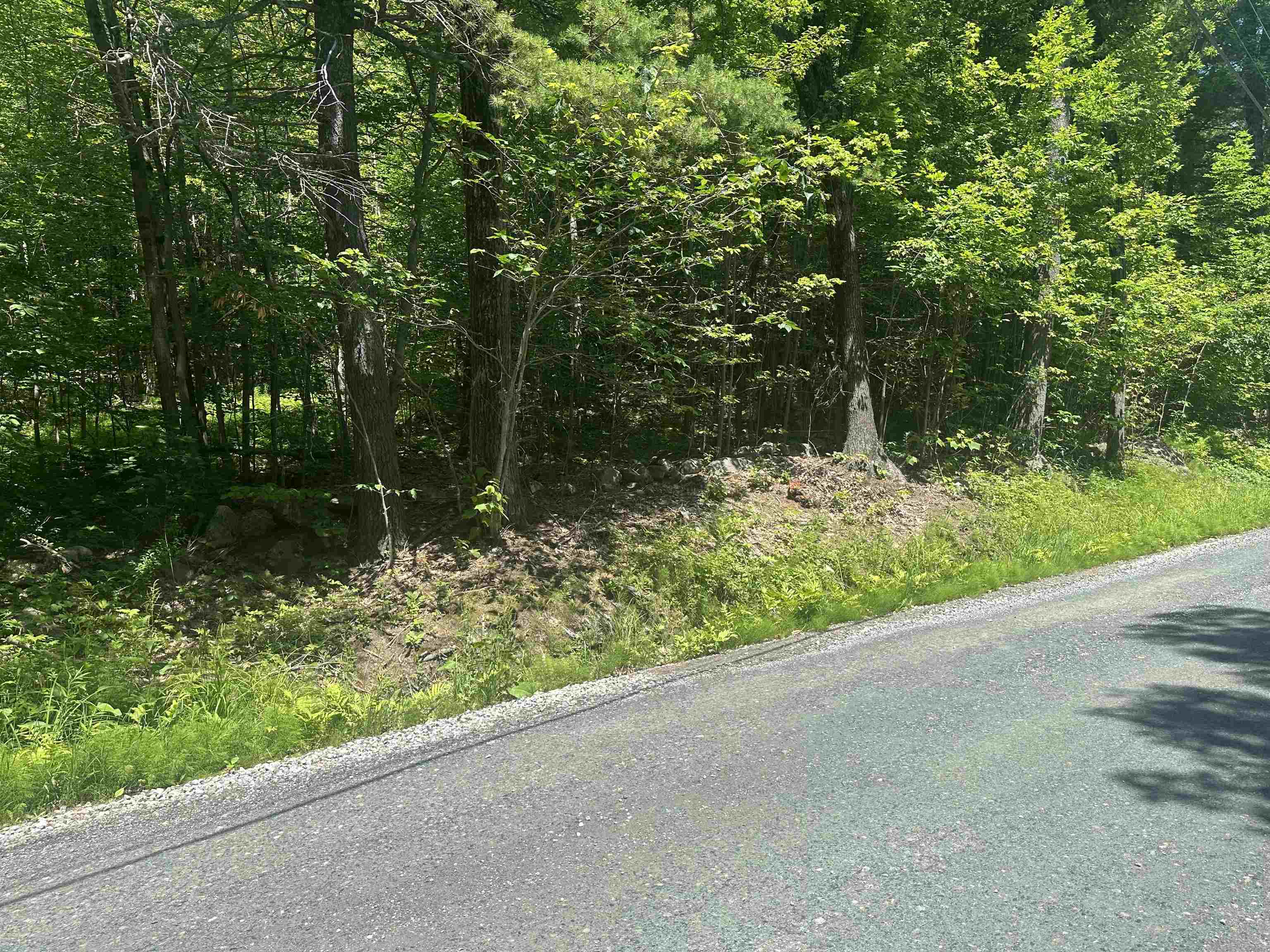 Lot 157 Old Province Rd, Newbury, NH 03255