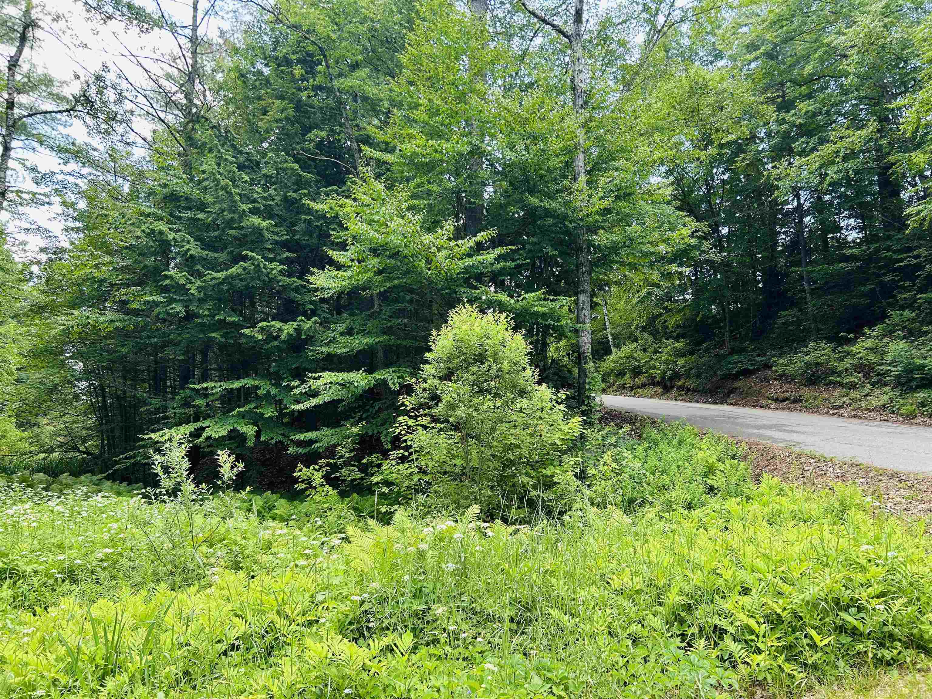 Highland St, Whitefield, NH 03598