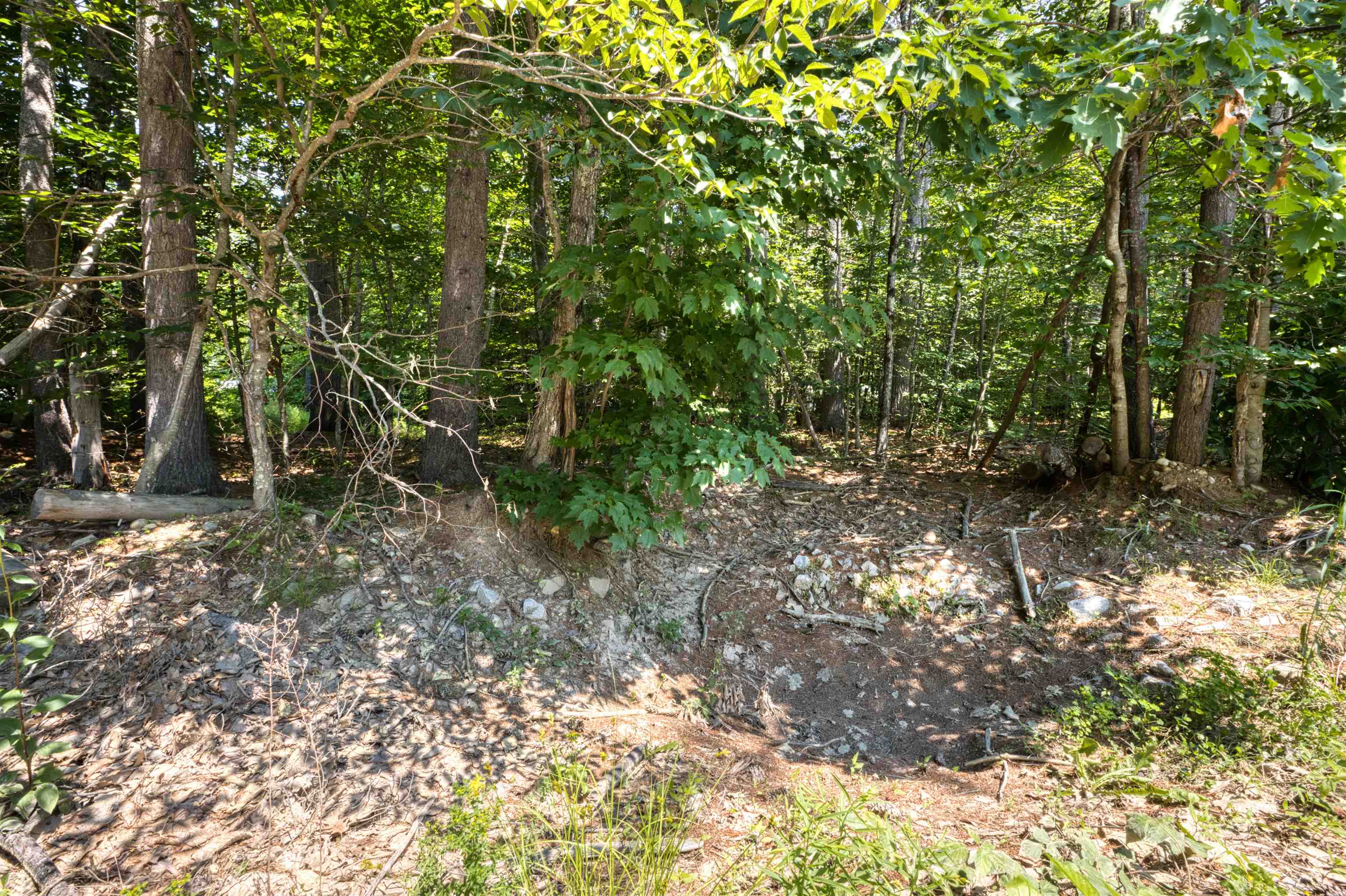 Pike Ln, Tamworth, NH 03886