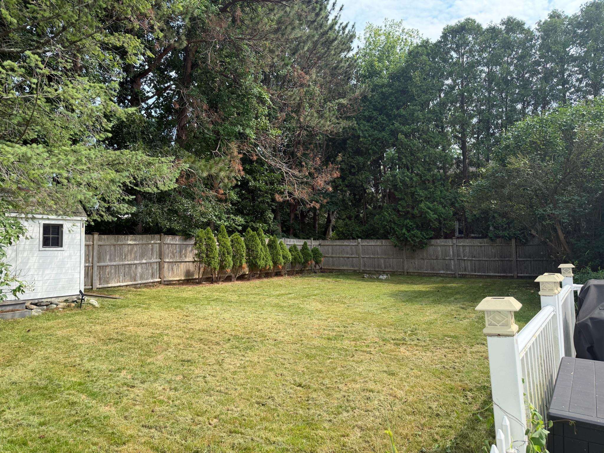 Photo 14 of 17