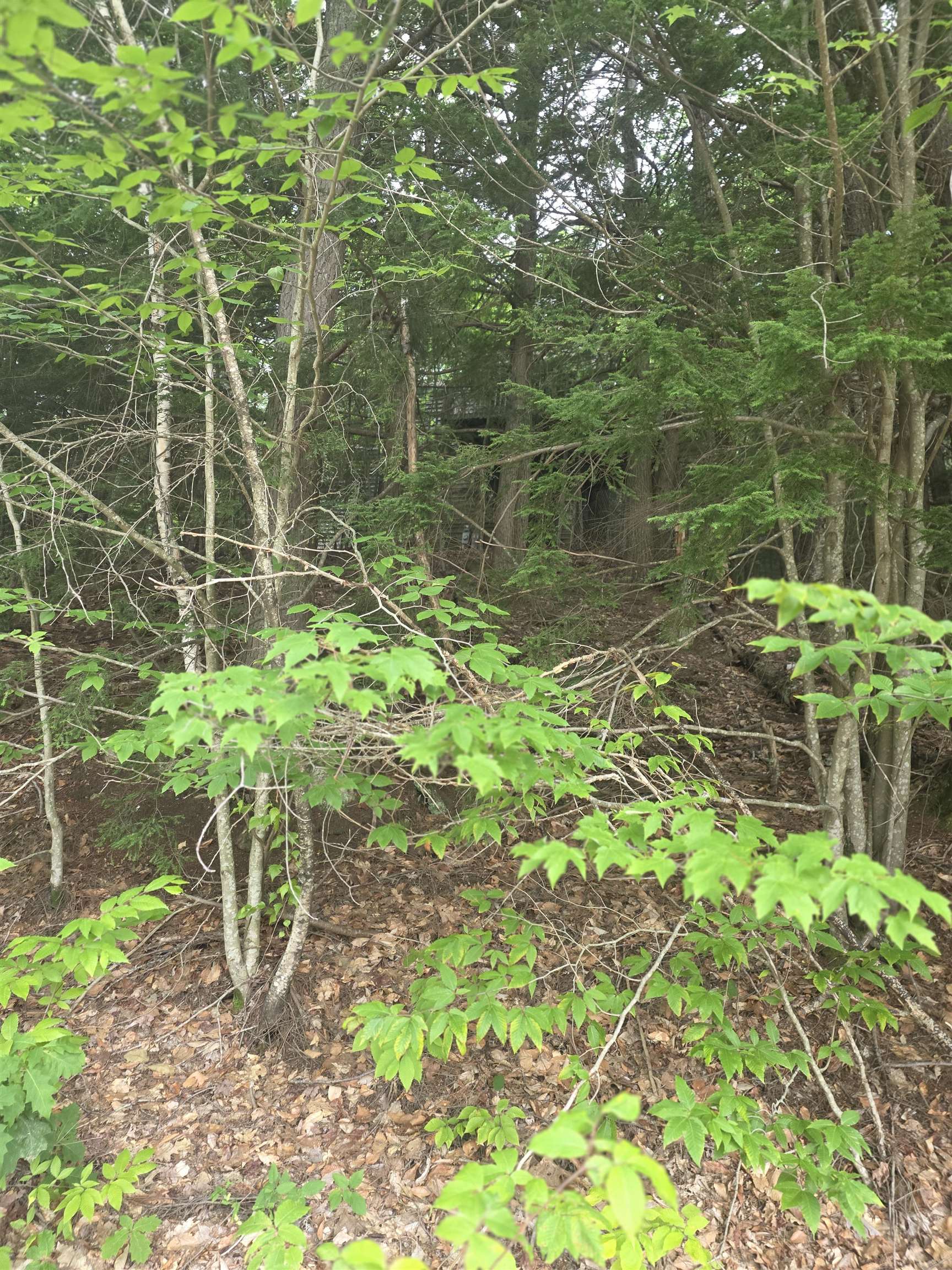 113 Bell Valley Rd, Campton, NH 03223
