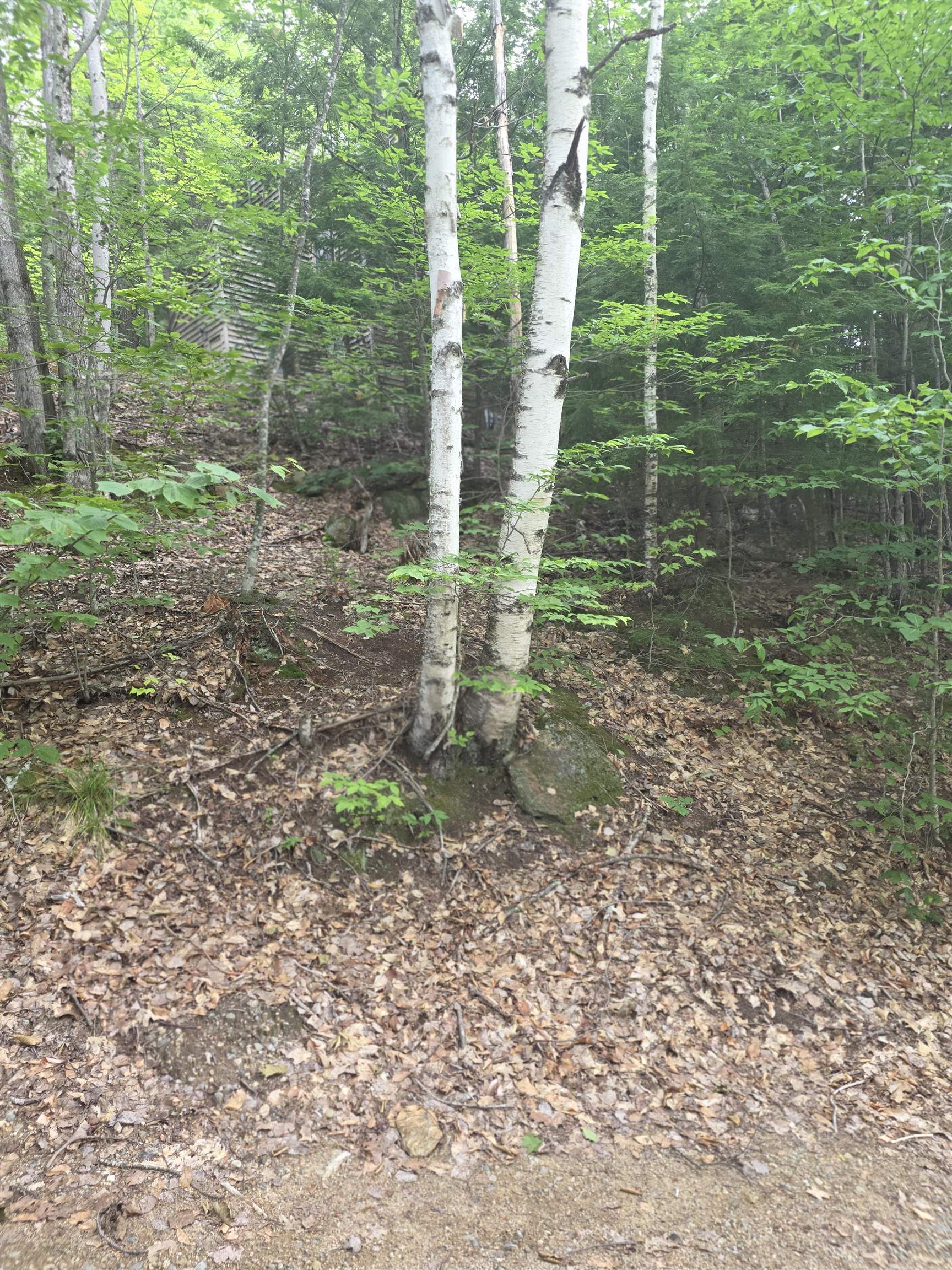 113 Bell Valley Rd, Campton, NH 03223