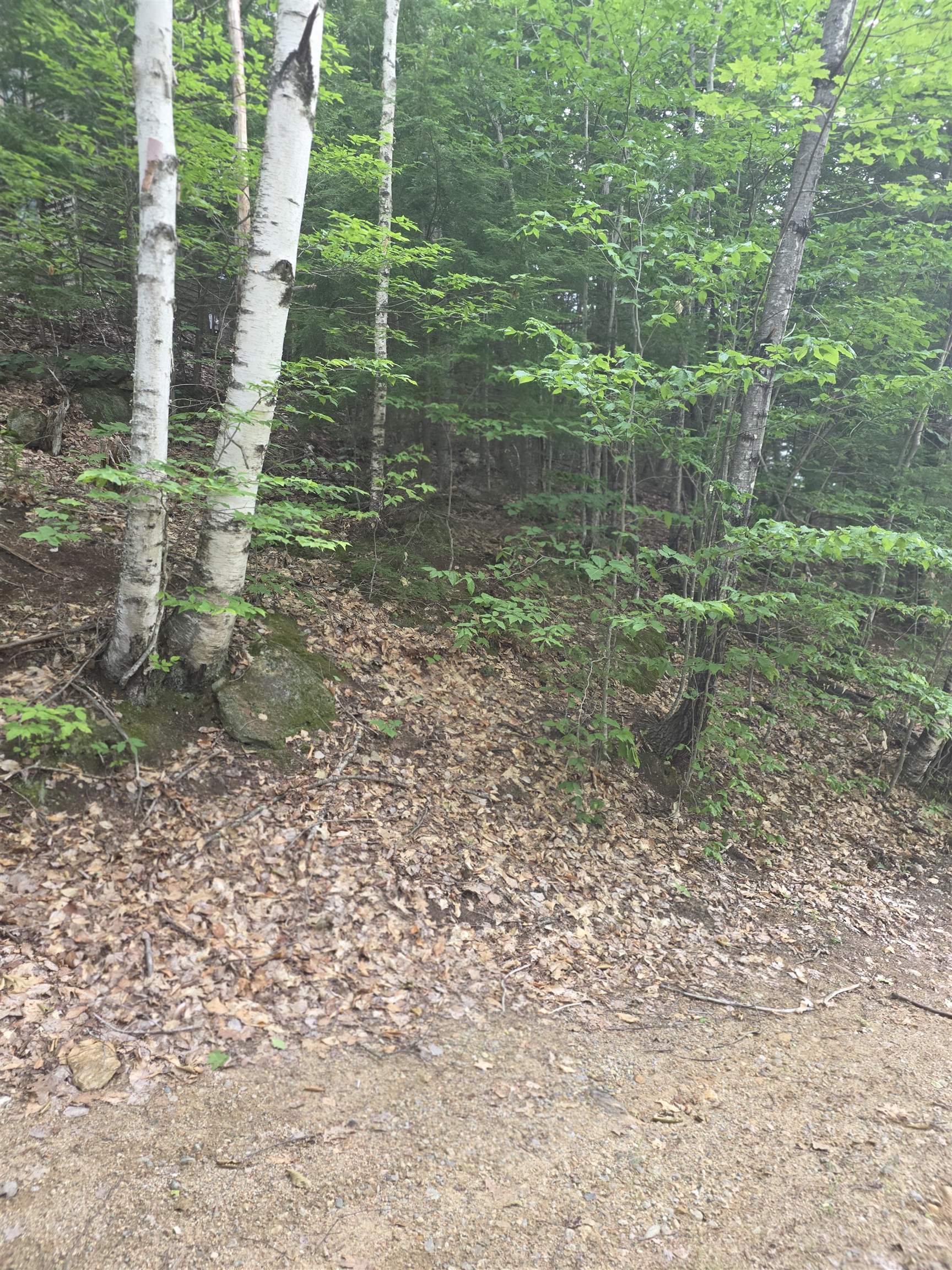 113 Bell Valley Rd, Campton, NH 03223