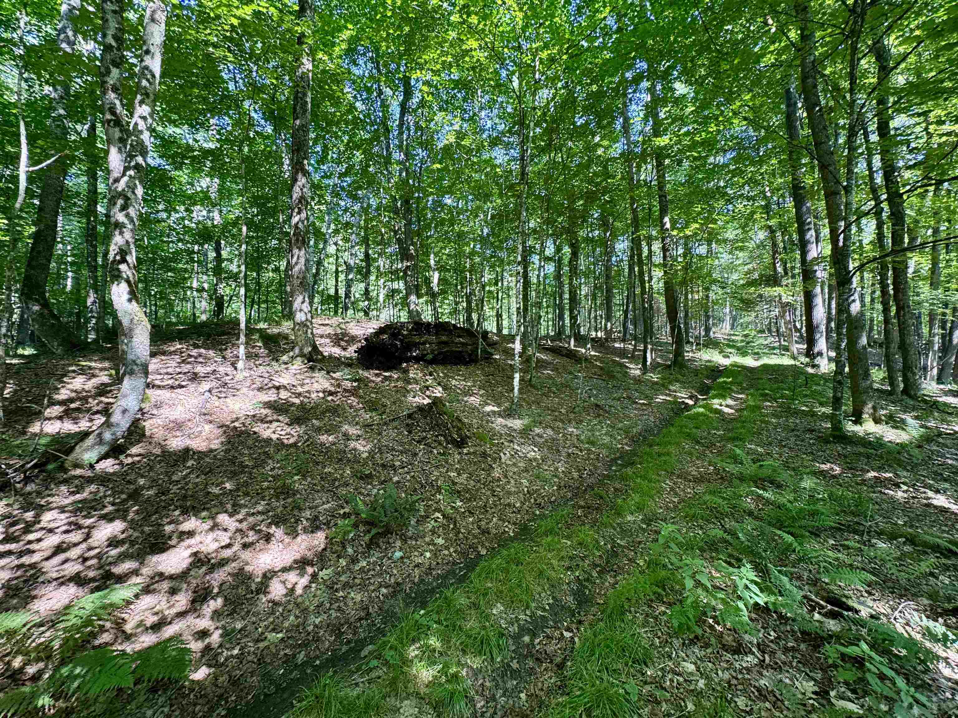 00 Mountain Rd, Bath, NH 03740