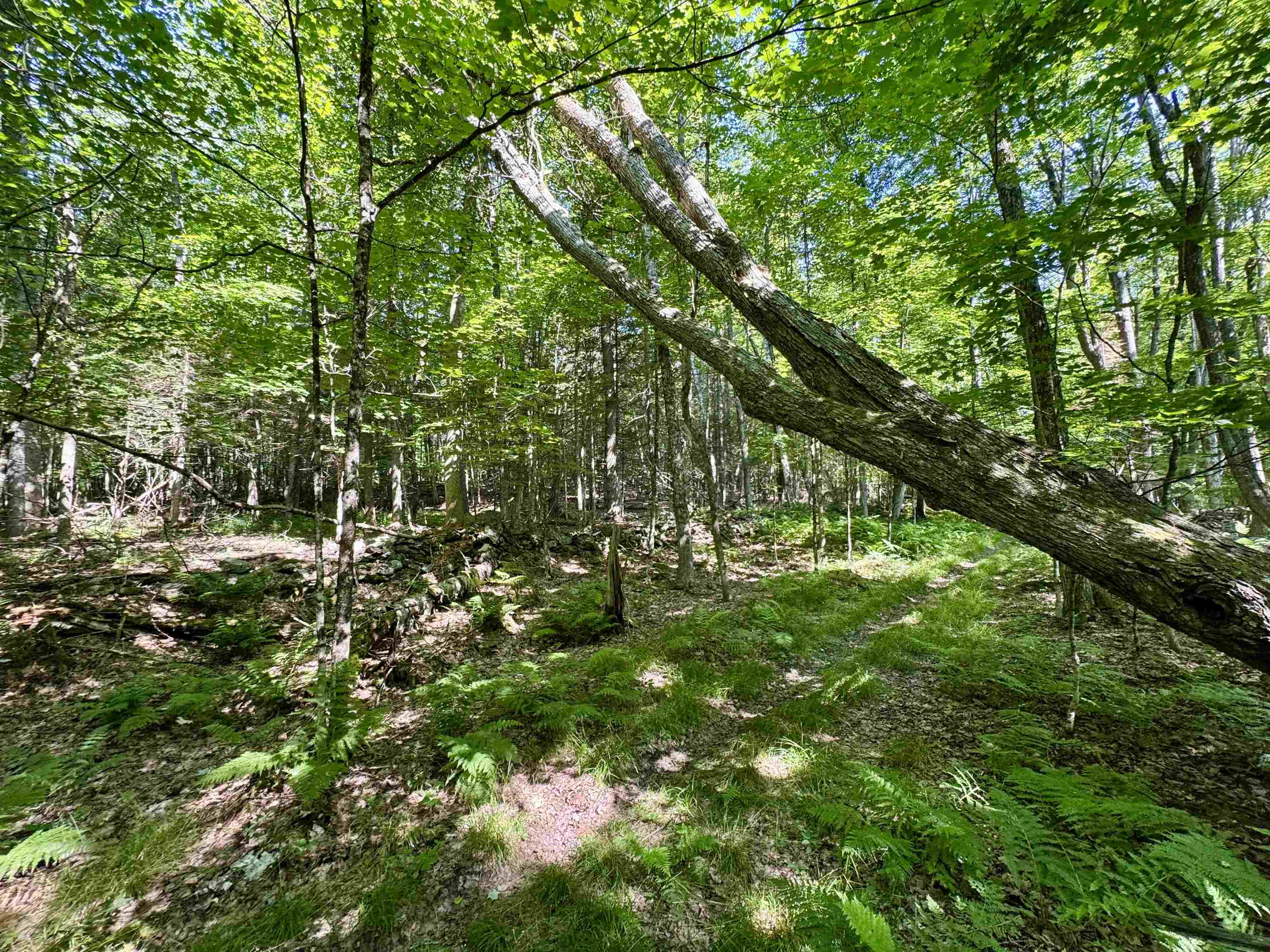 00 Mountain Rd, Bath, NH 03740