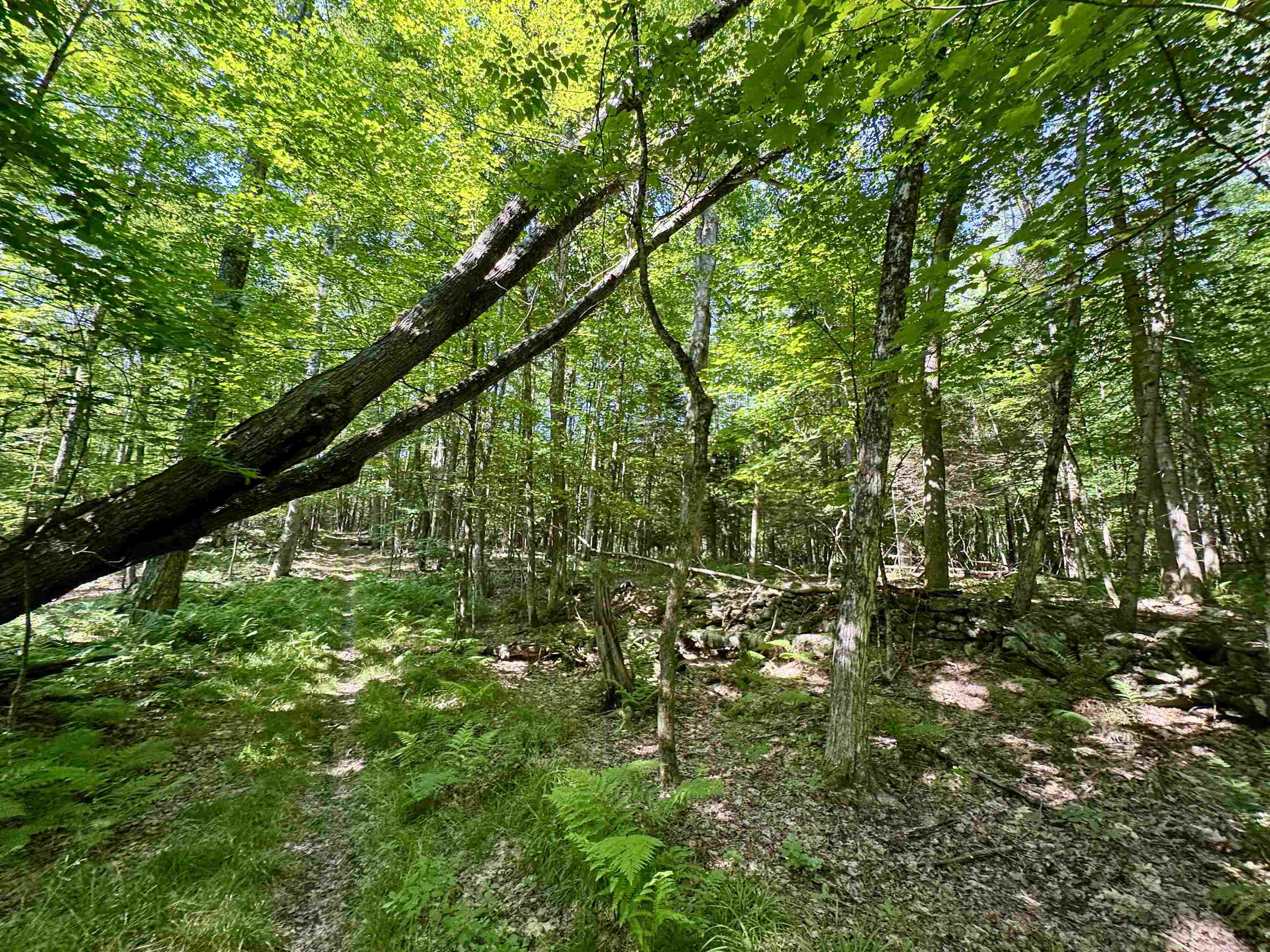 00 Mountain Rd, Bath, NH 03740