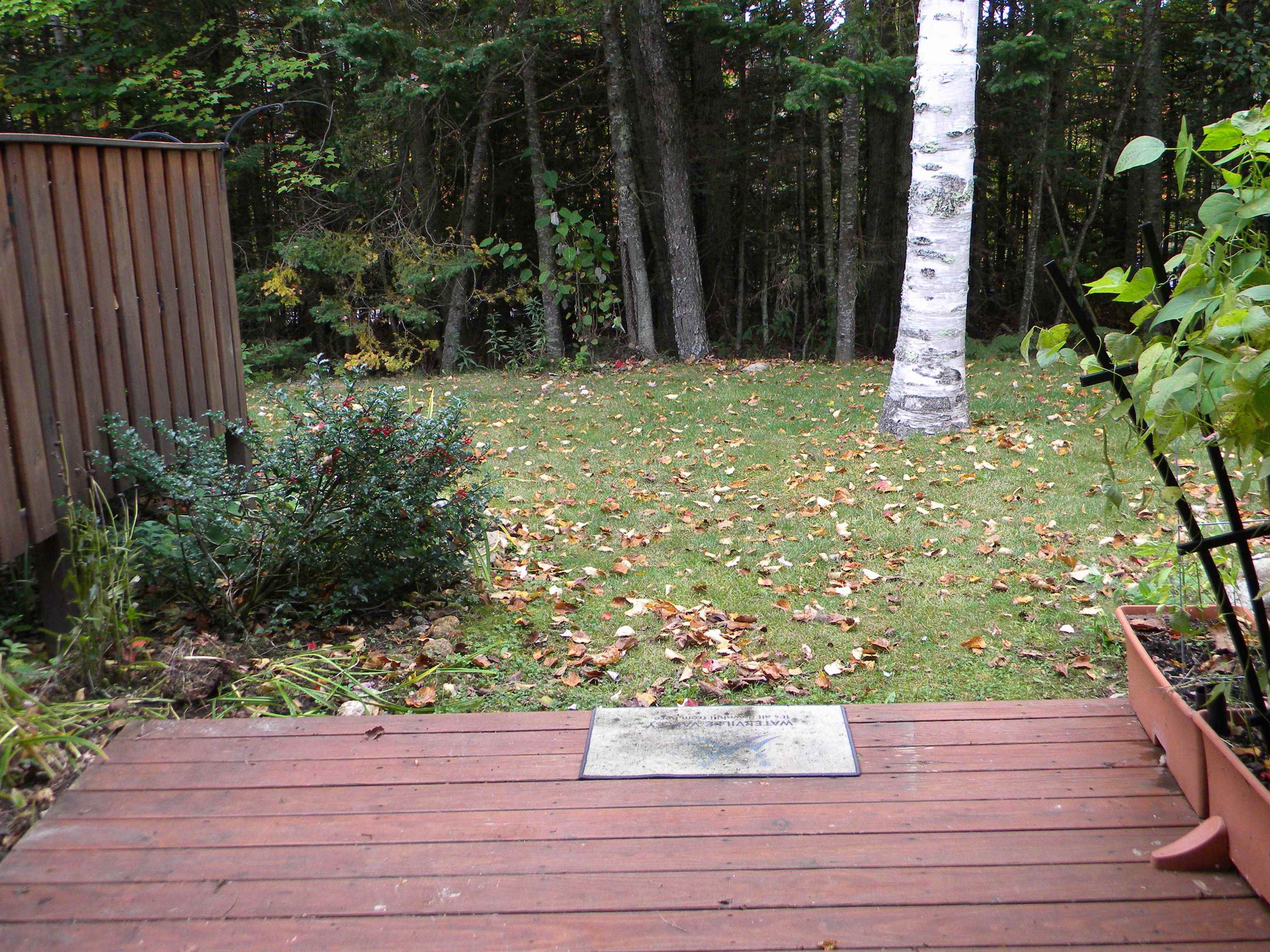 47 Windsor Hill Way #A1, Waterville Valley, NH 03215
