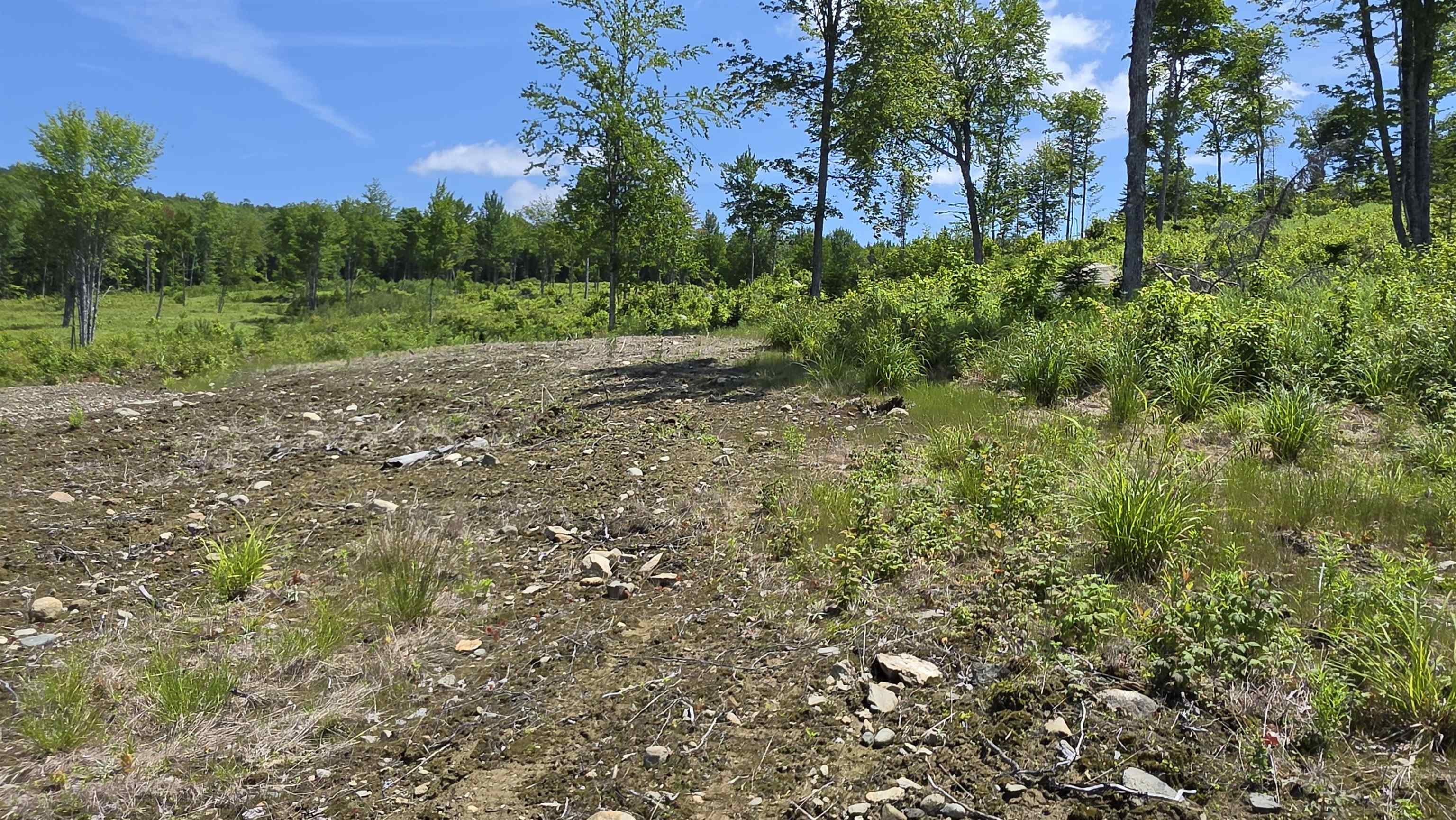 Map R6 Lot 1C Deer Crossing Way, Errol, NH 03579