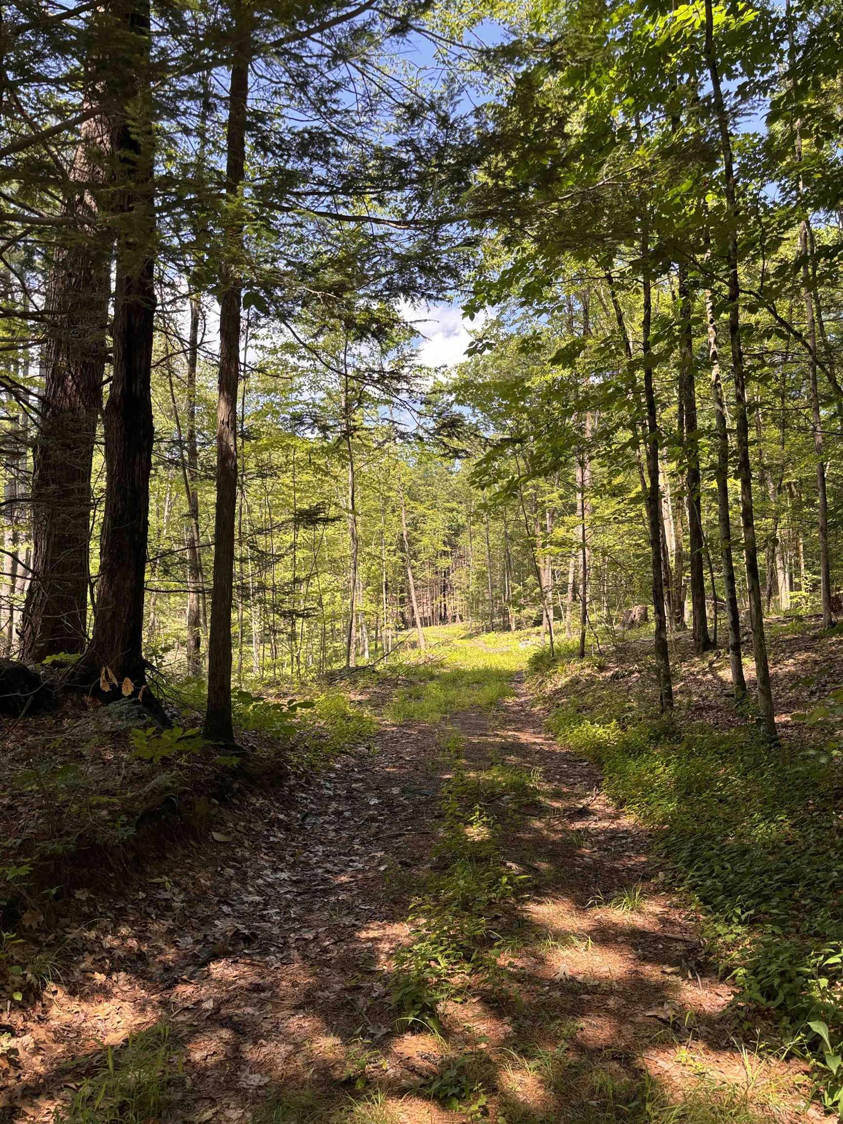 Lot 1-2 Tower Hill Rd, Hinsdale, NH 03451