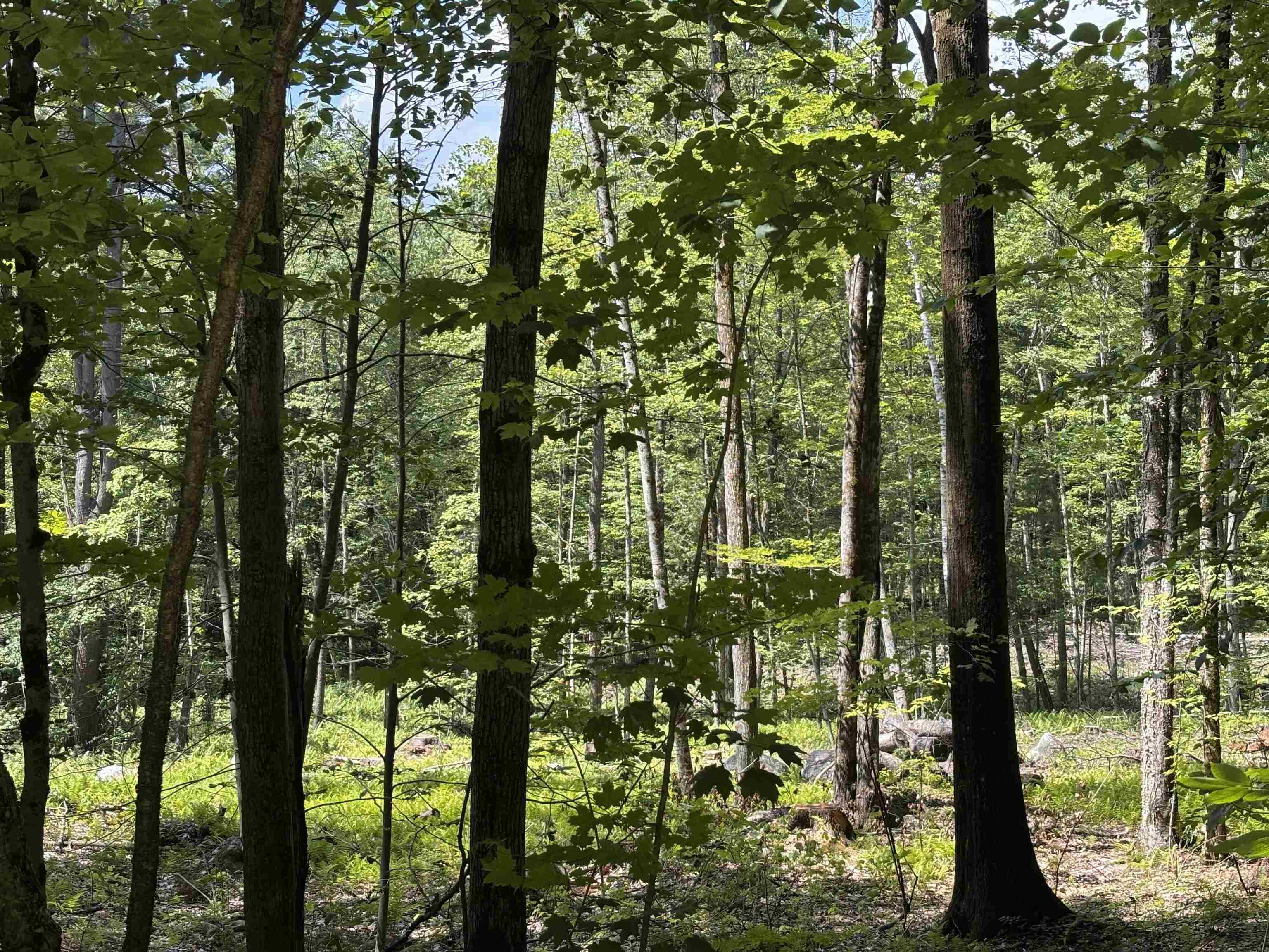 Lot 1-2 Tower Hill Rd, Hinsdale, NH 03451
