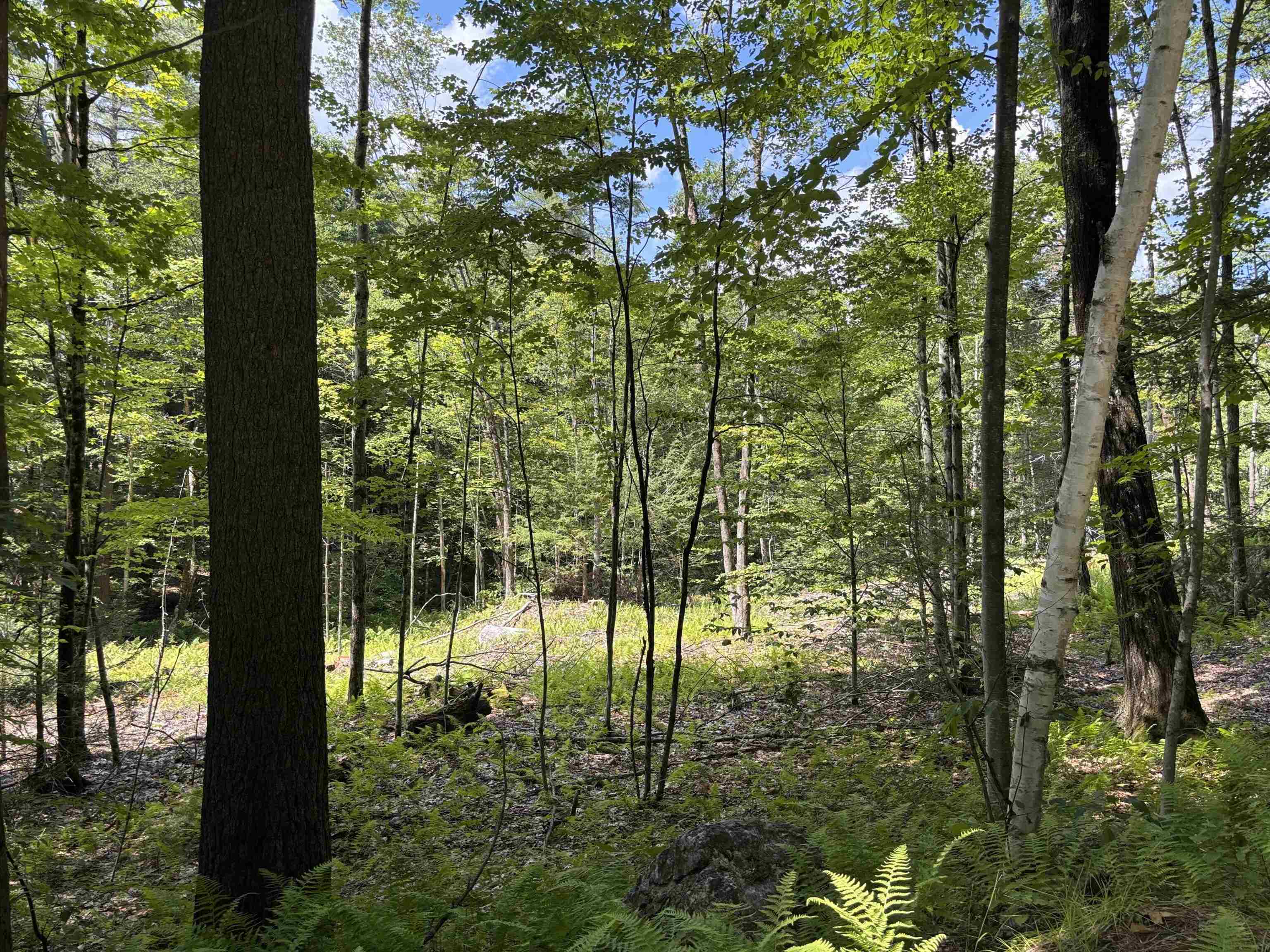 Lot 1-2 Tower Hill Rd, Hinsdale, NH 03451