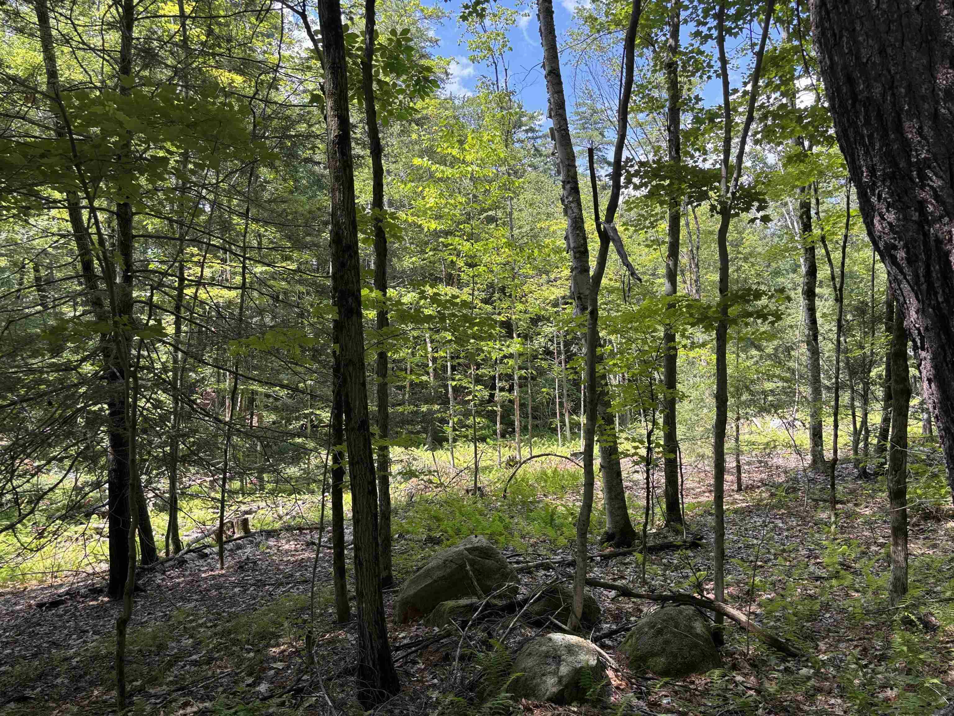 Lot 1-2 Tower Hill Rd, Hinsdale, NH 03451