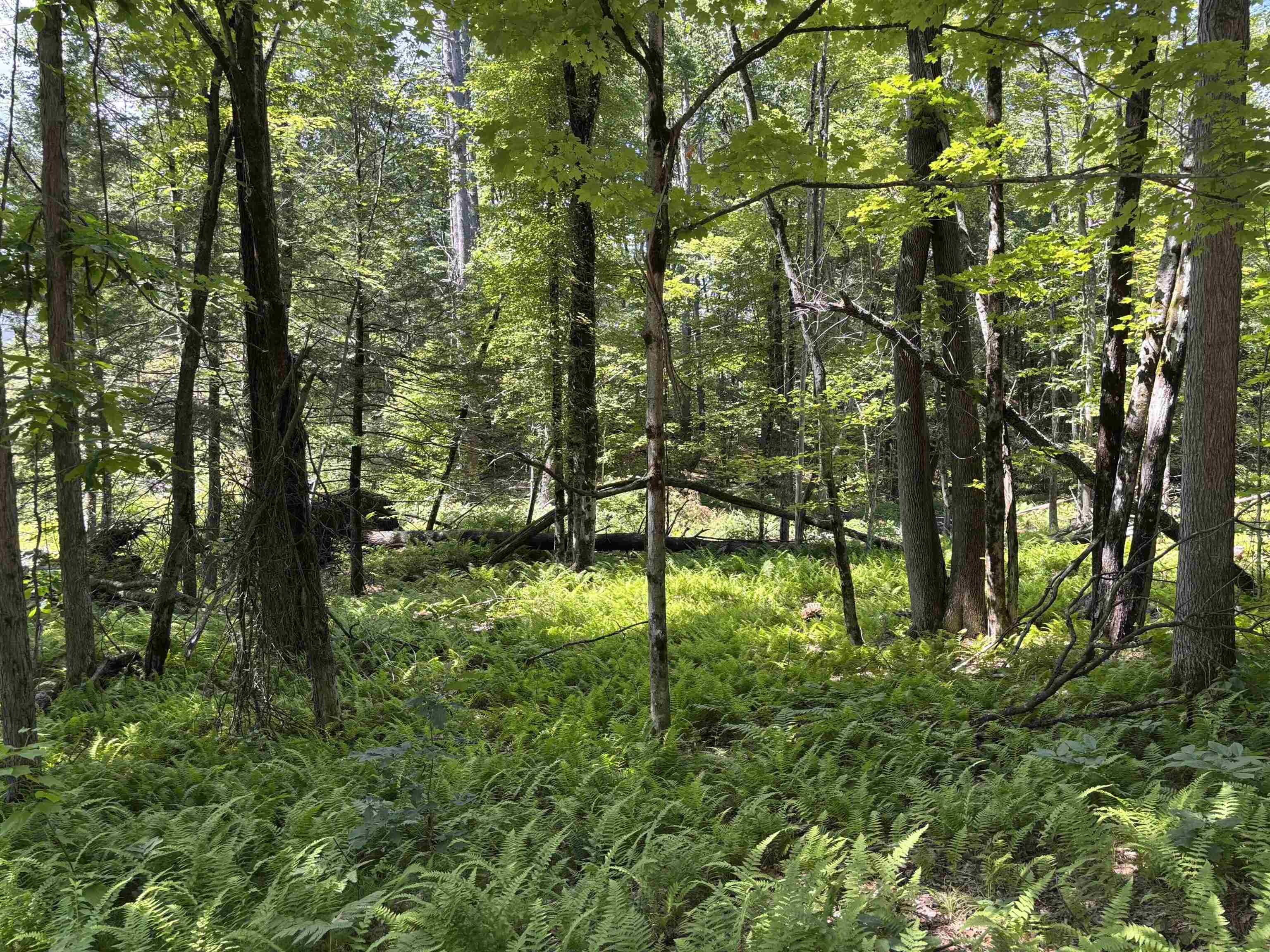 Lot 1-2 Tower Hill Rd, Hinsdale, NH 03451