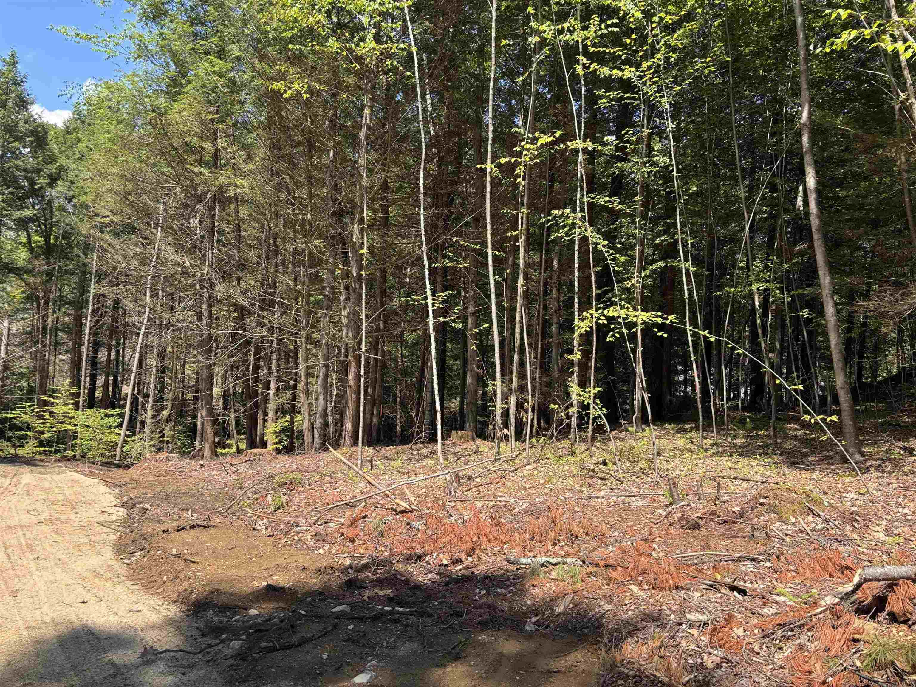 M13 L3 Tower Hill Rd, Hinsdale, NH 03451