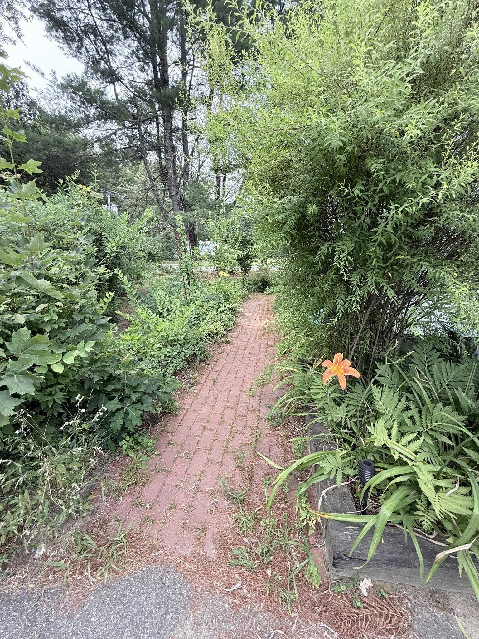 Photo 8 of 37