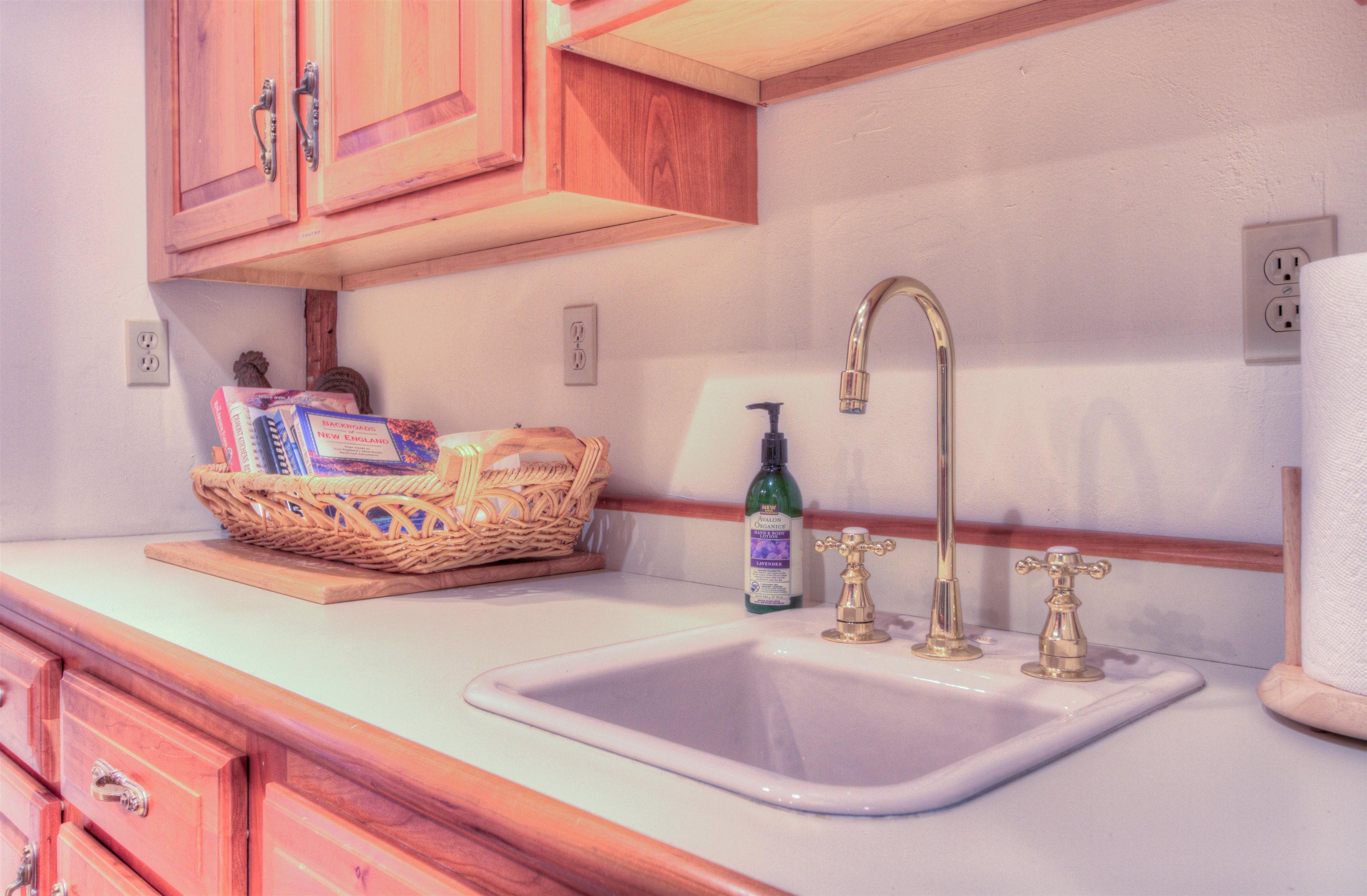 Wet bar in Pantry