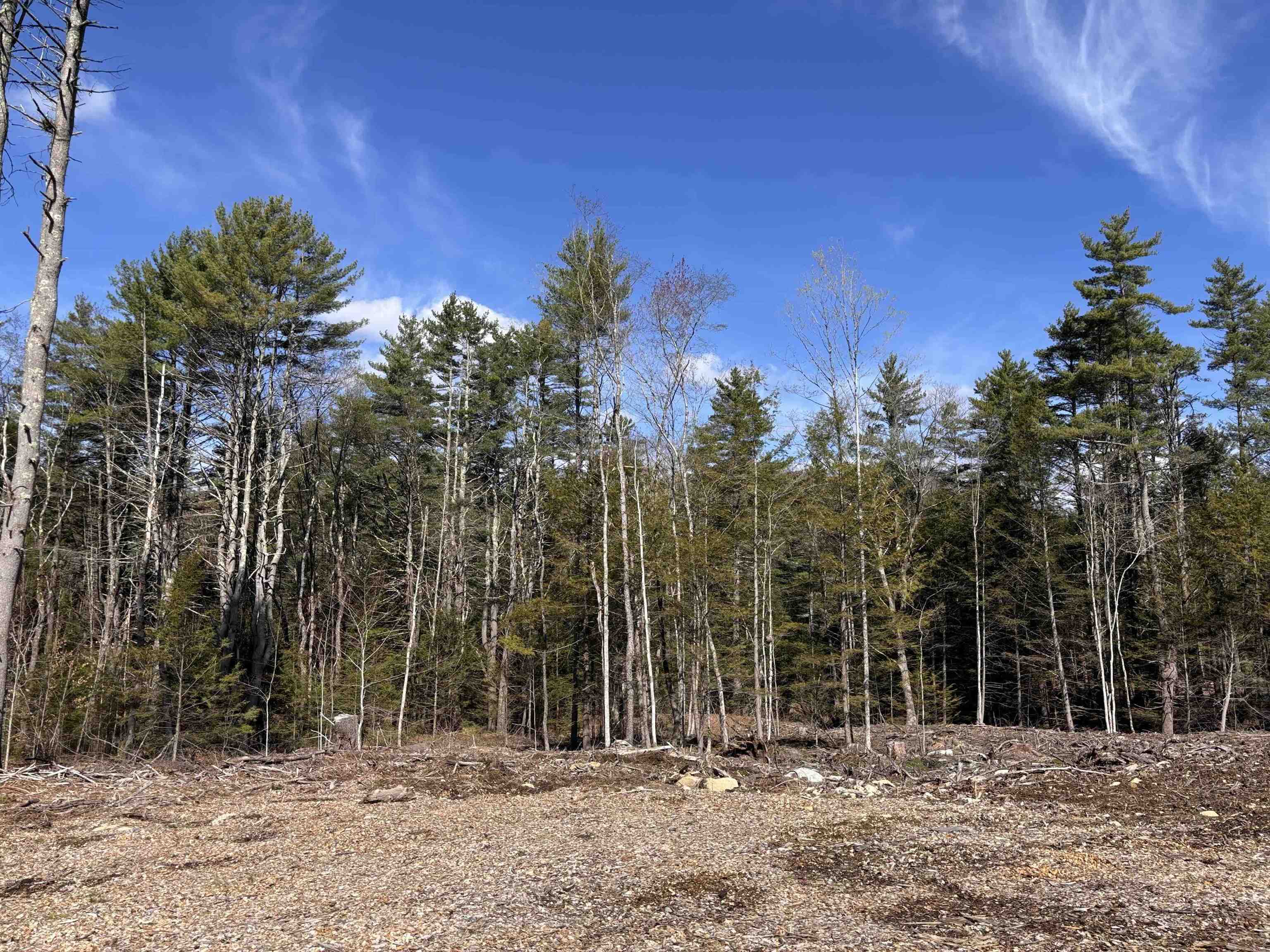 L:64 - 65 Old Turnpike Rd, Richmond, NH 03470