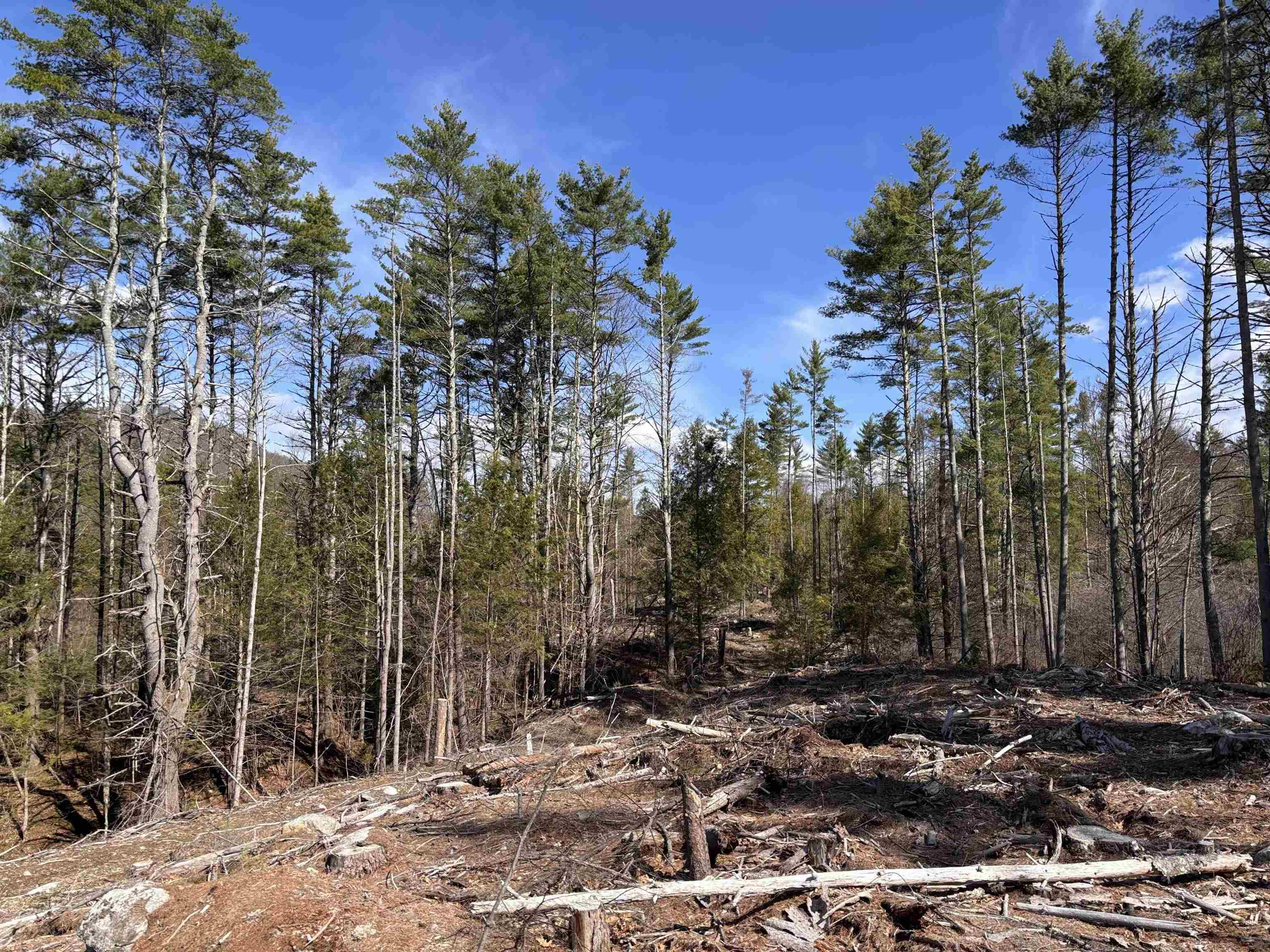 L:64 - 65 Old Turnpike Rd, Richmond, NH 03470