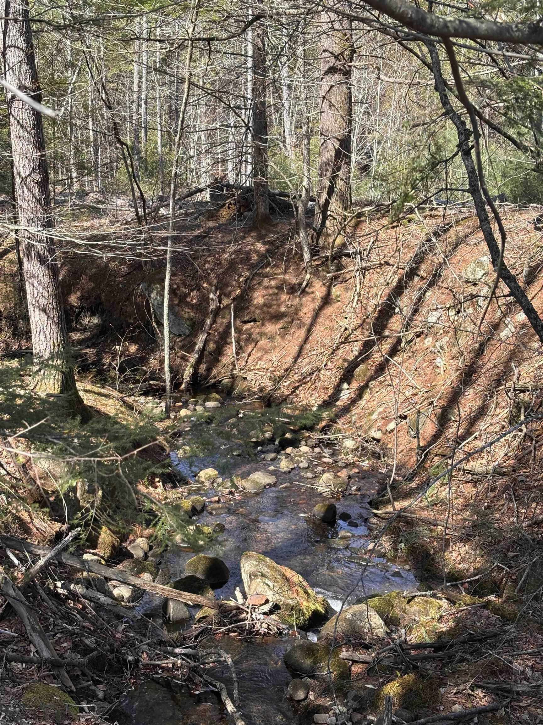 L:64 - 65 Old Turnpike Rd, Richmond, NH 03470