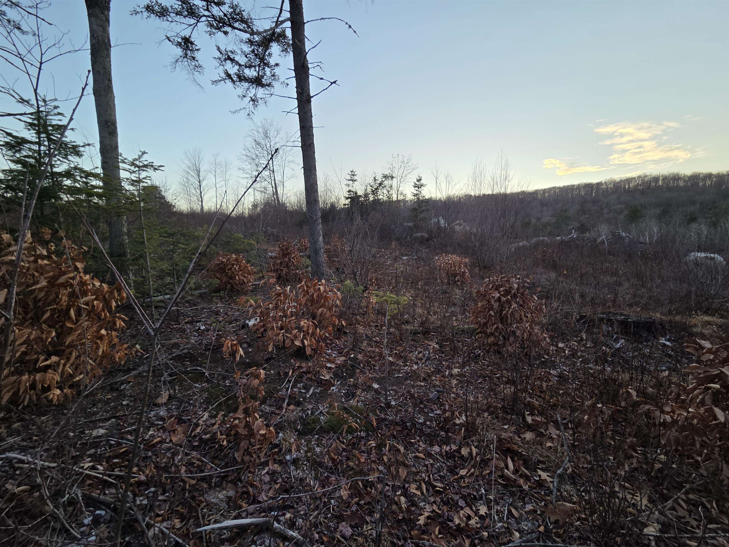 672-5 Bog Rd, Enfield, NH 03748