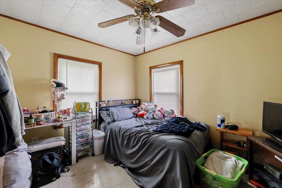 Picture 16