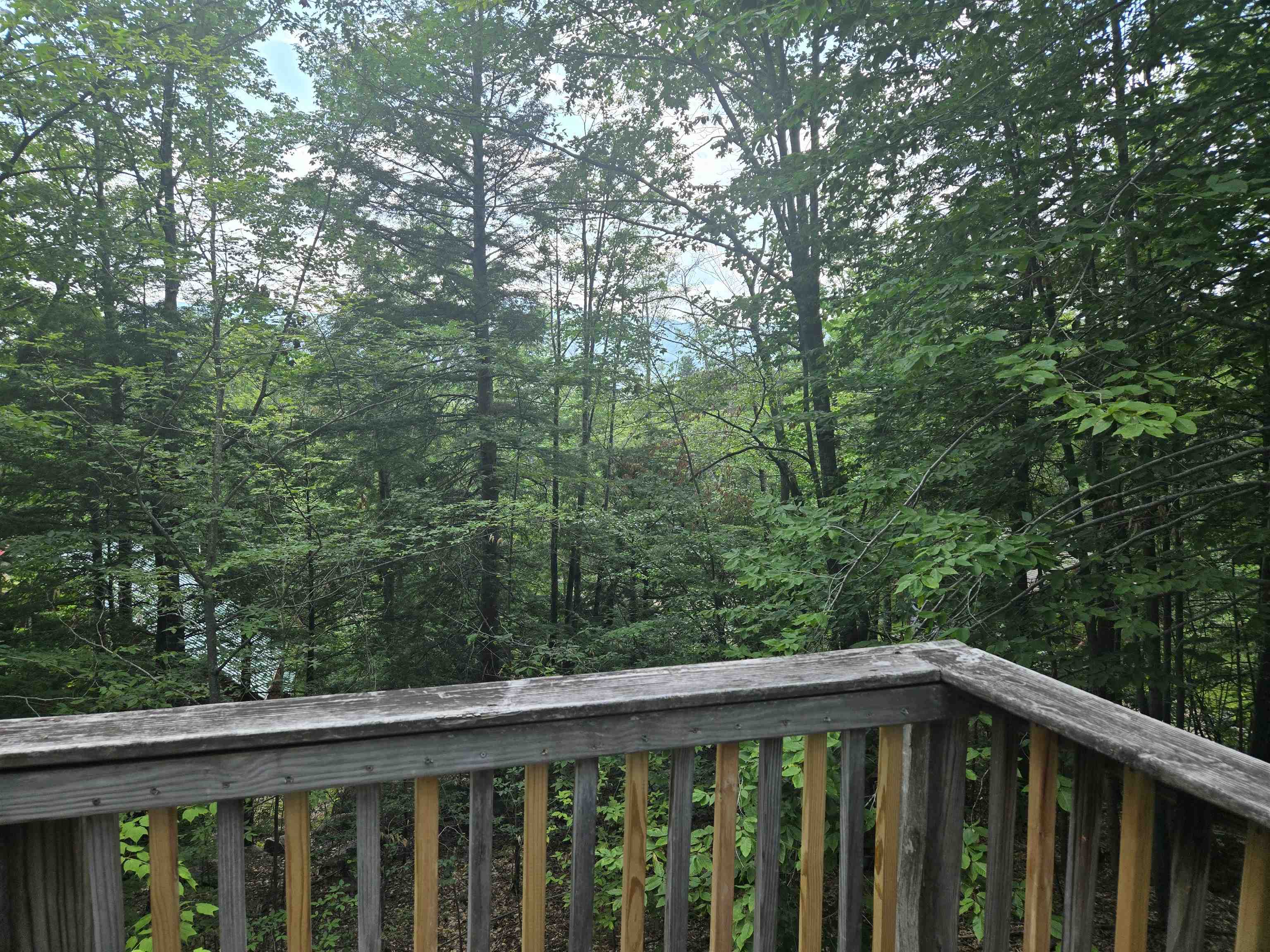 140 Alpstrausse, Bartlett, NH photo 4