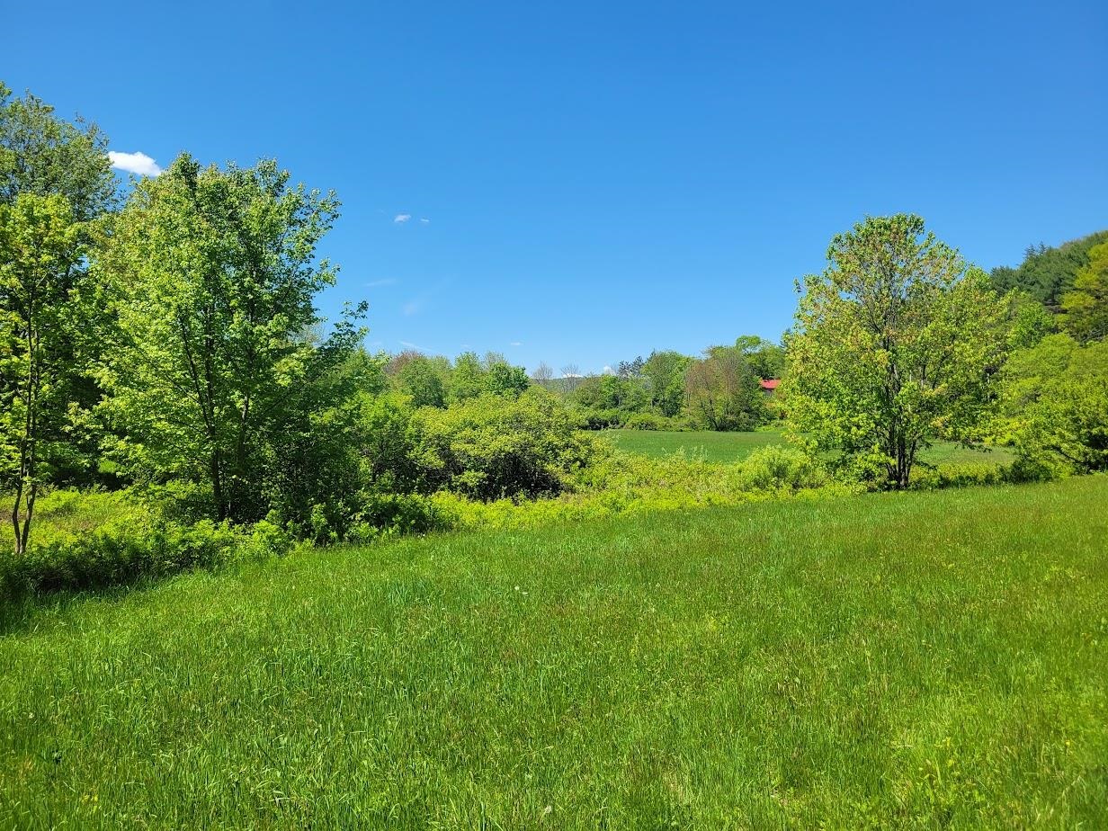 00 Eastern District Rd, Danbury, NH 03230