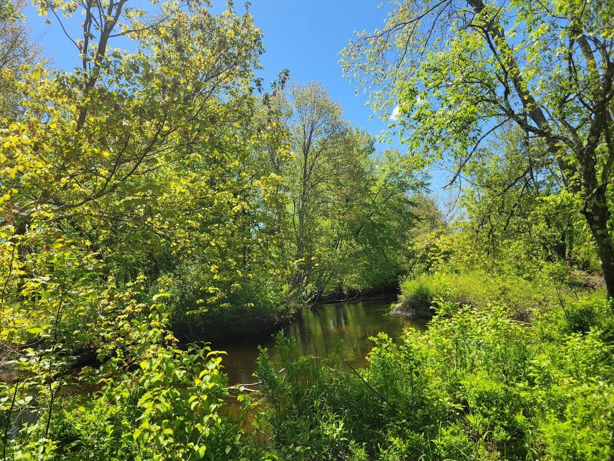 00 Eastern District Rd, Danbury, NH 03230