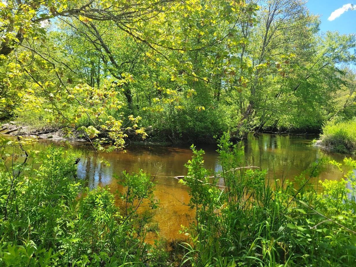 00 Eastern District Rd, Danbury, NH 03230