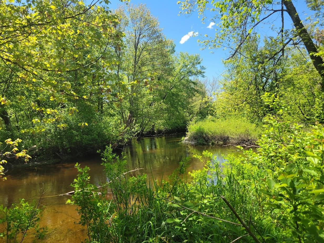 00 Eastern District Rd, Danbury, NH 03230