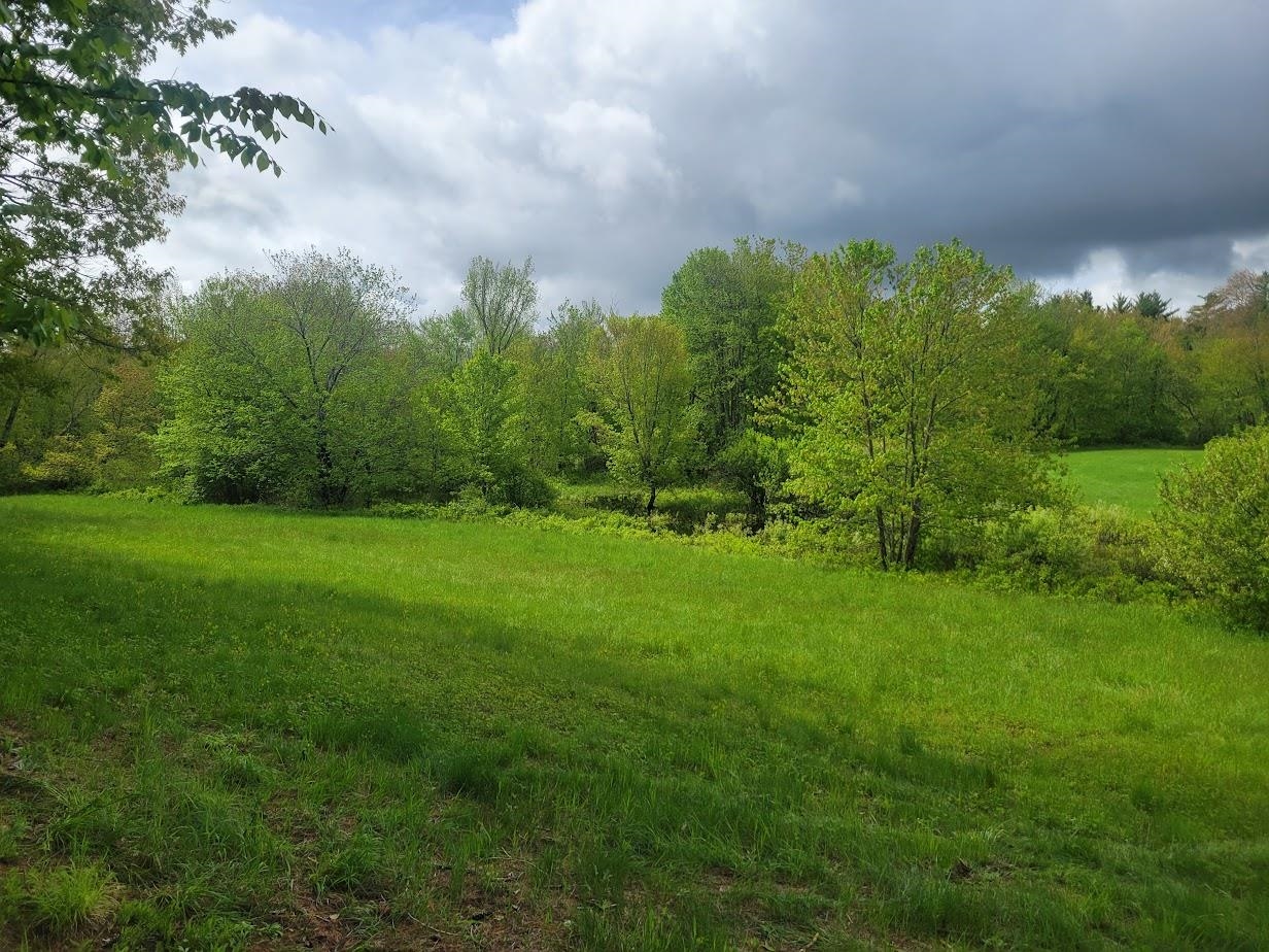 00 Eastern District Rd, Danbury, NH 03230