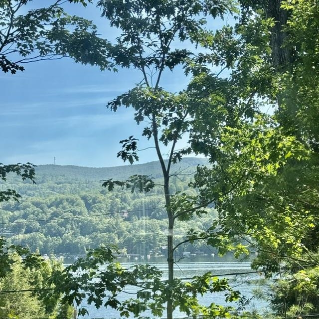 31 Don Gerry Rd #17, Bristol, NH 03222-3770