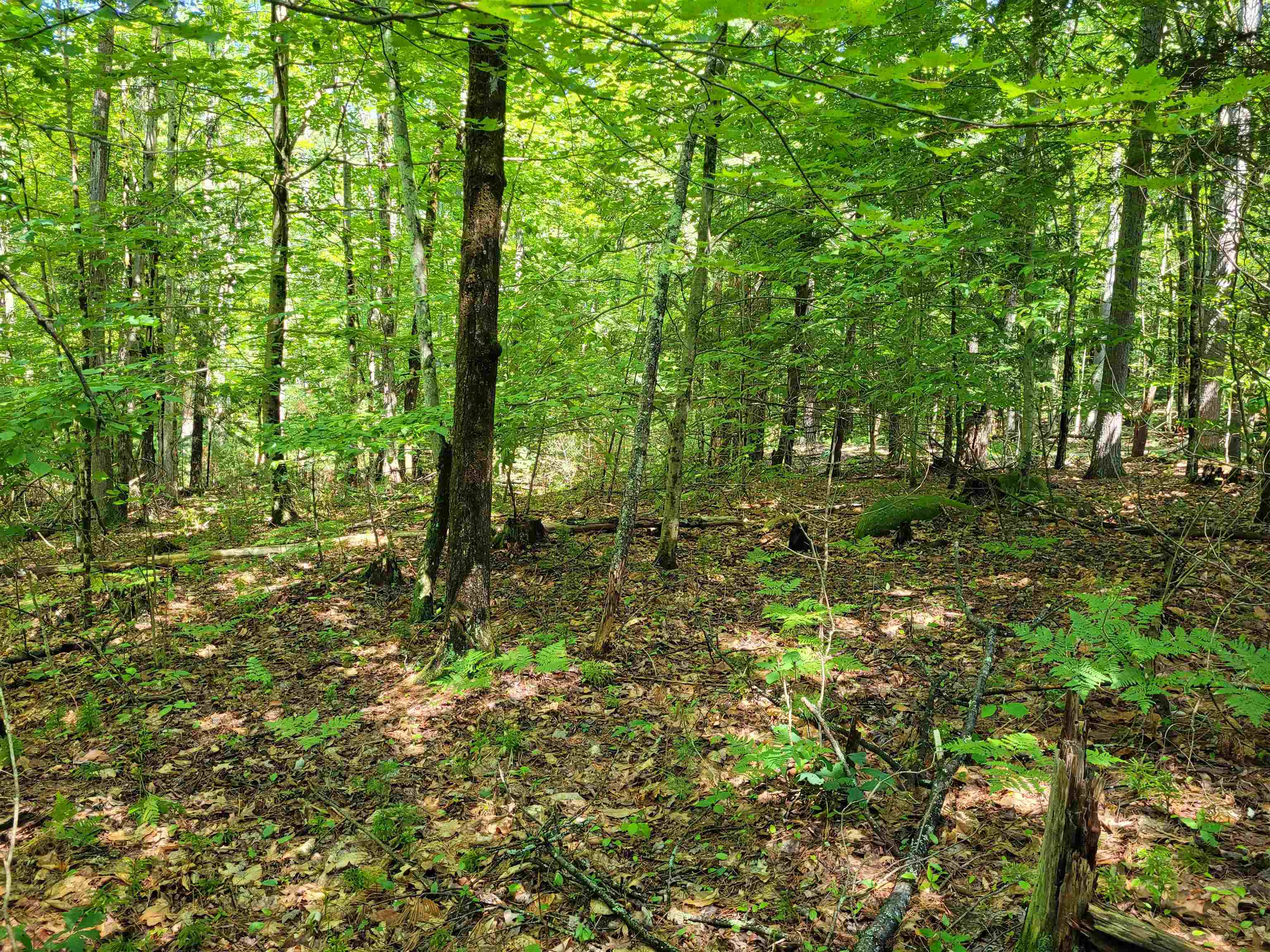 00 Thompson Rd, Keene, NH 03431