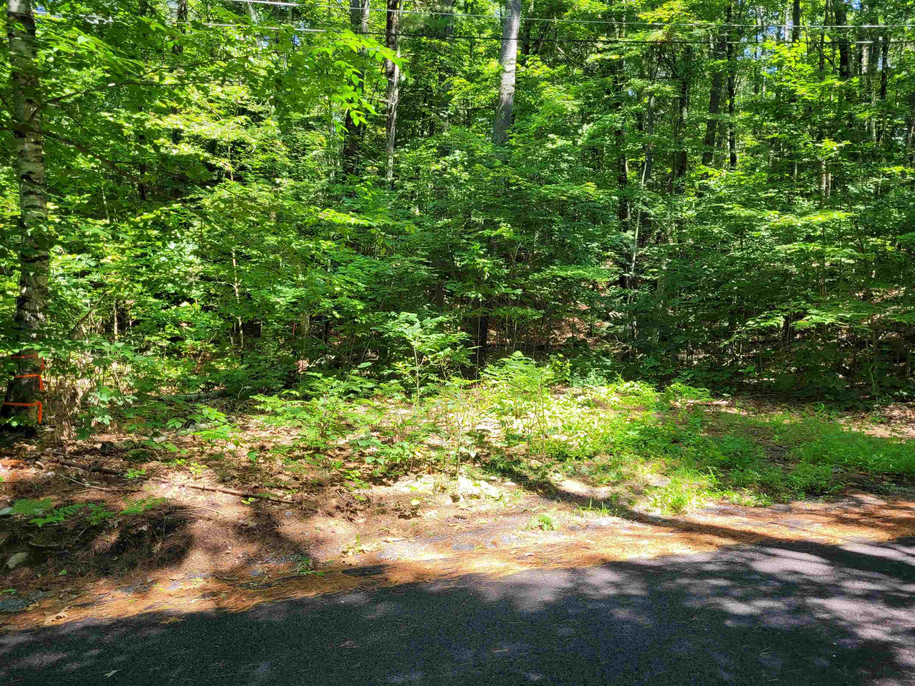 Thompson Rd, Keene, NH 03431