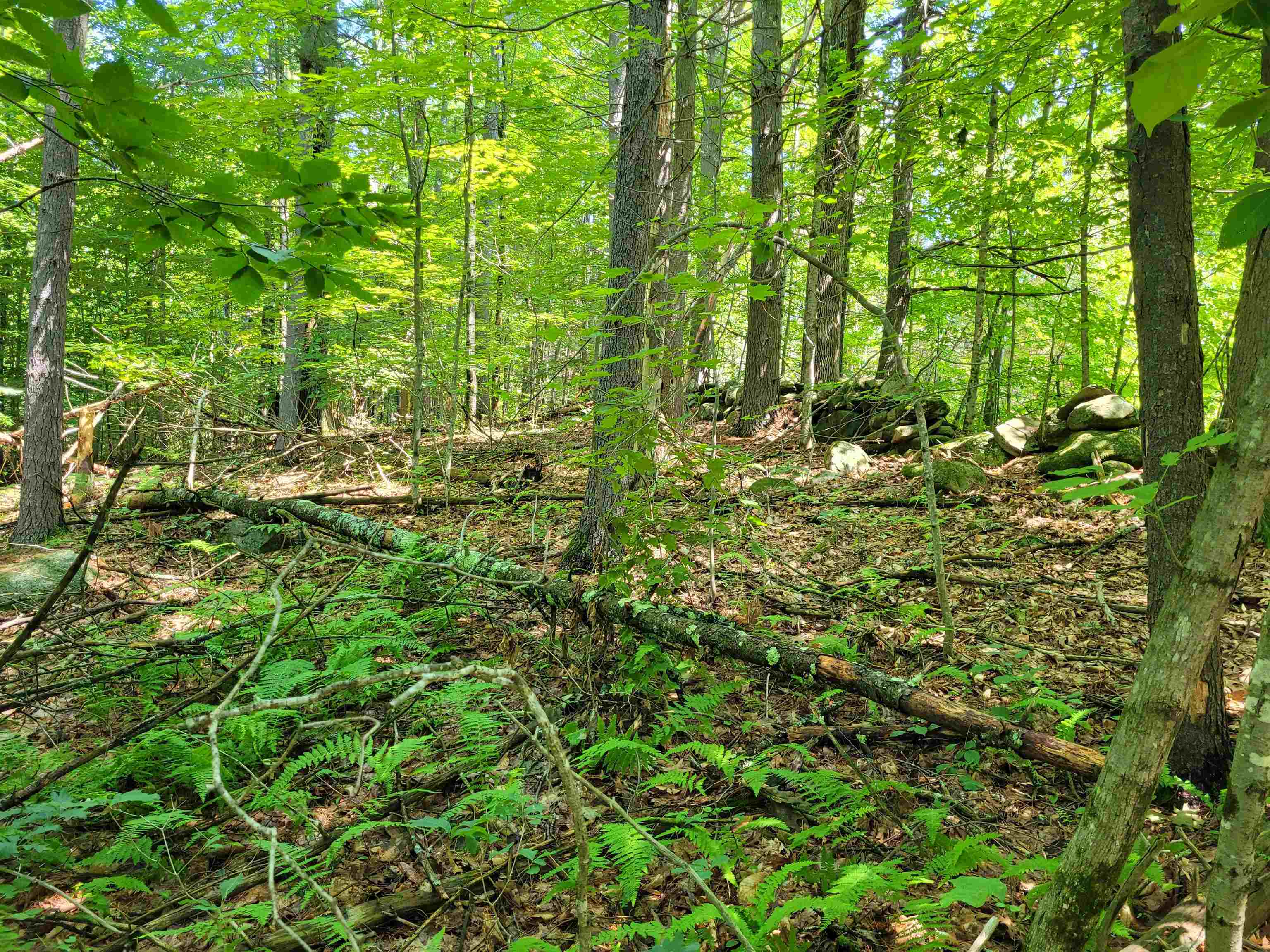 Thompson Rd, Keene, NH 03431