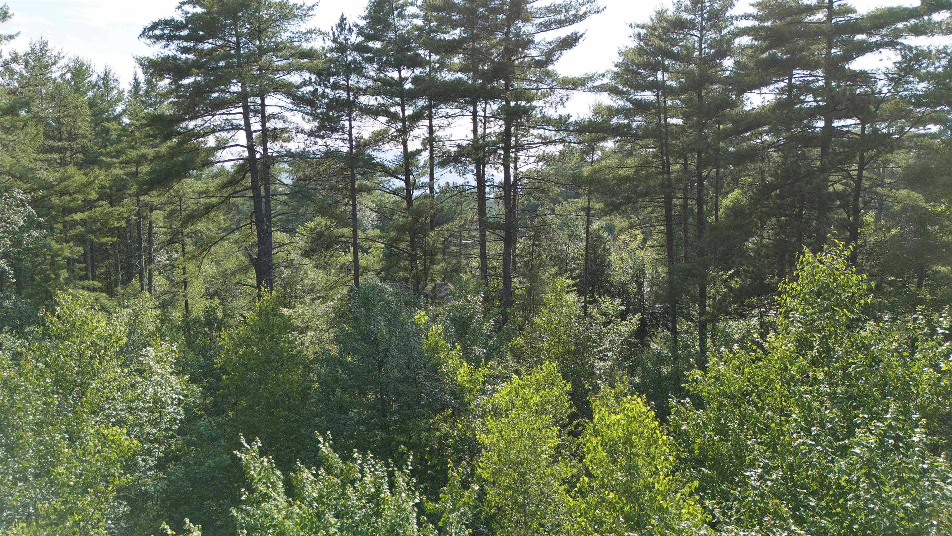 Ossipee Lake Rd, Tamworth, NH 03818