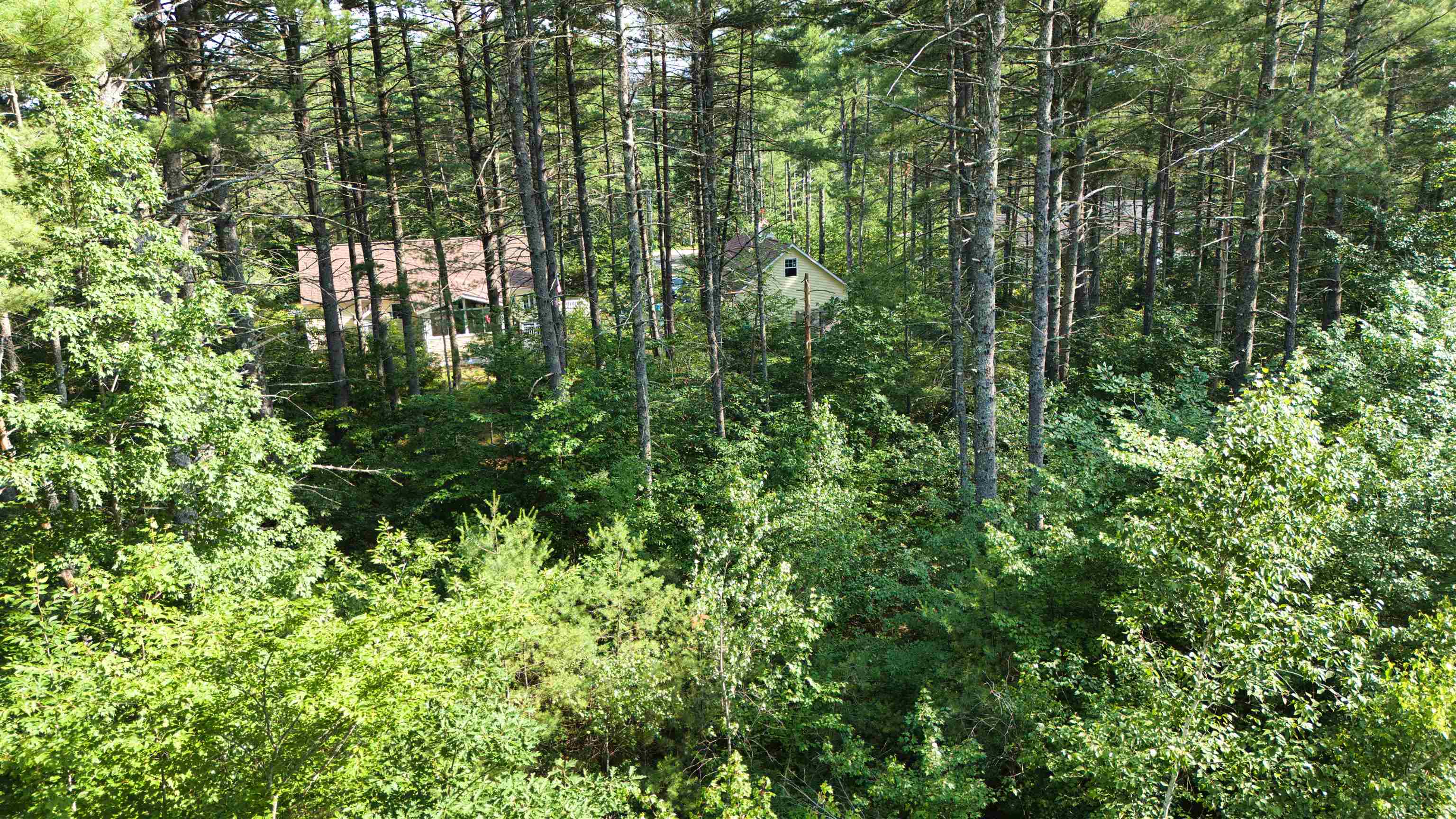 Ossipee Lake Rd, Tamworth, NH 03818
