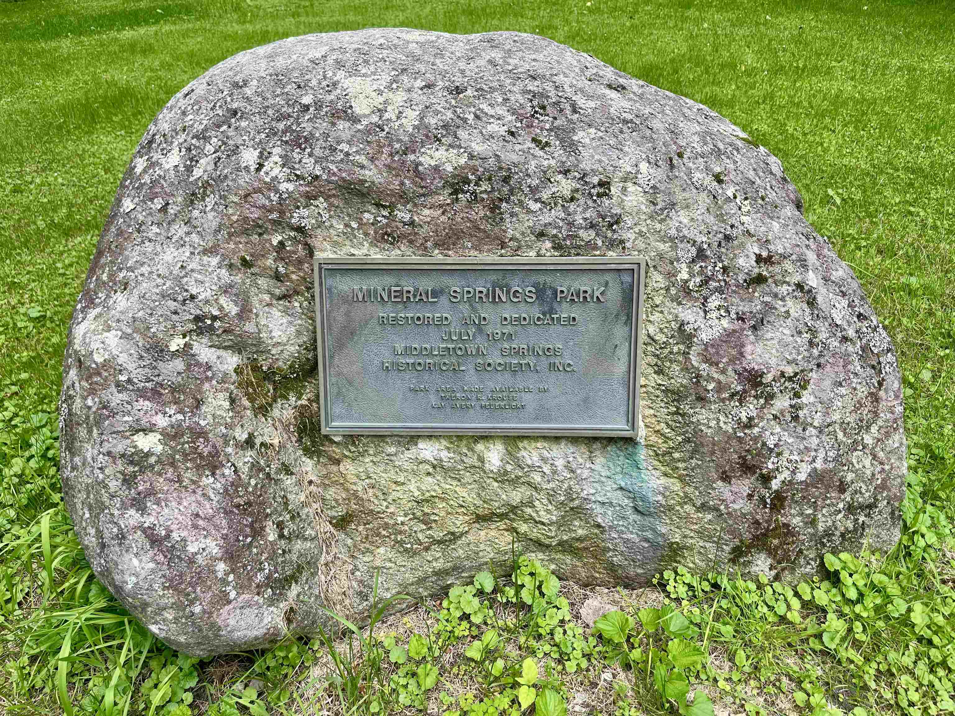 Mineral Springs Park