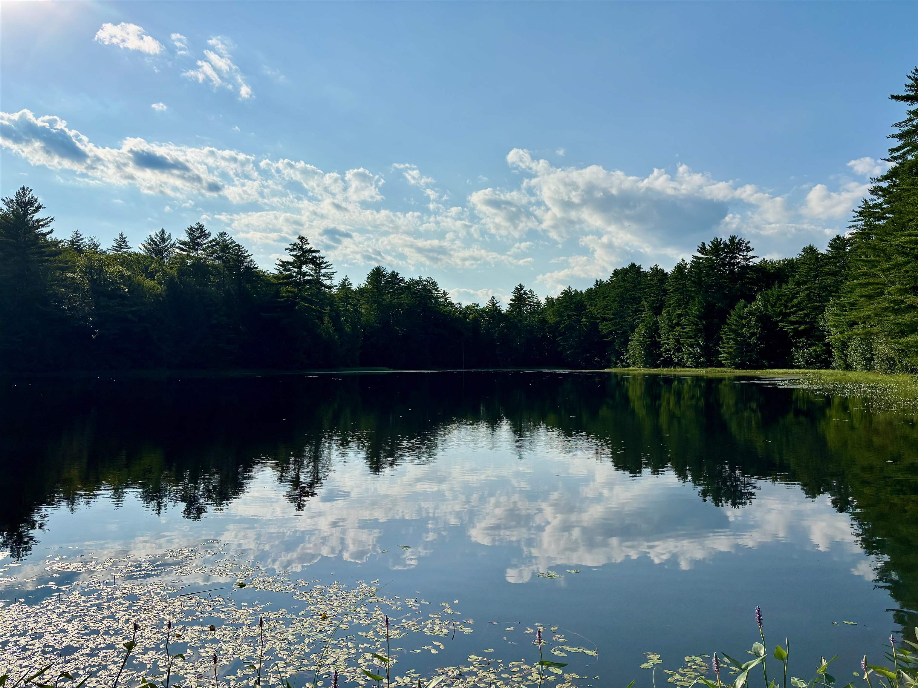 307 Burnt Hill Rd, Warner, NH 03278