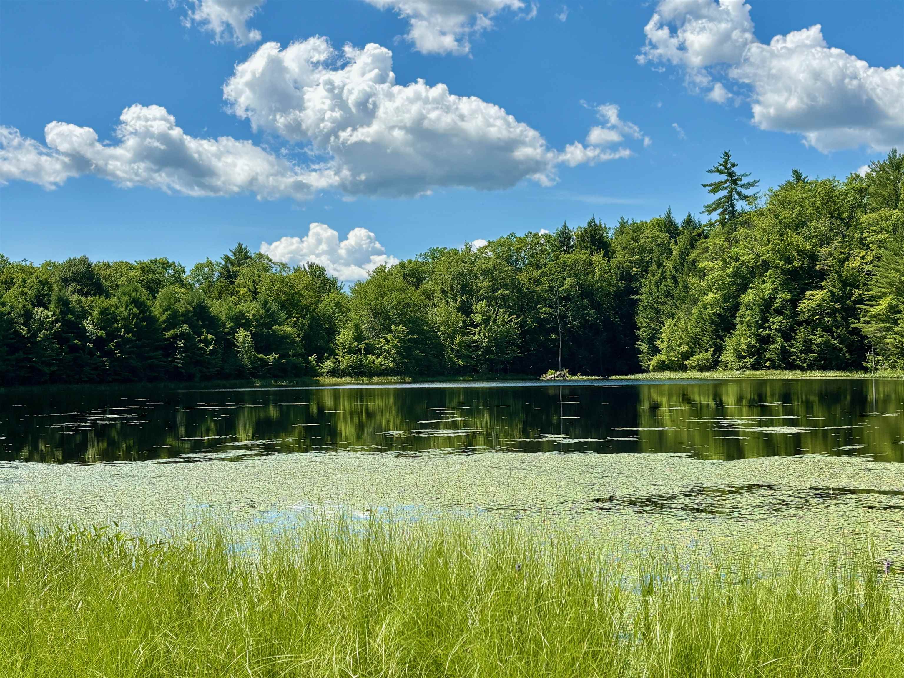 307 Burnt Hill Rd, Warner, NH 03278