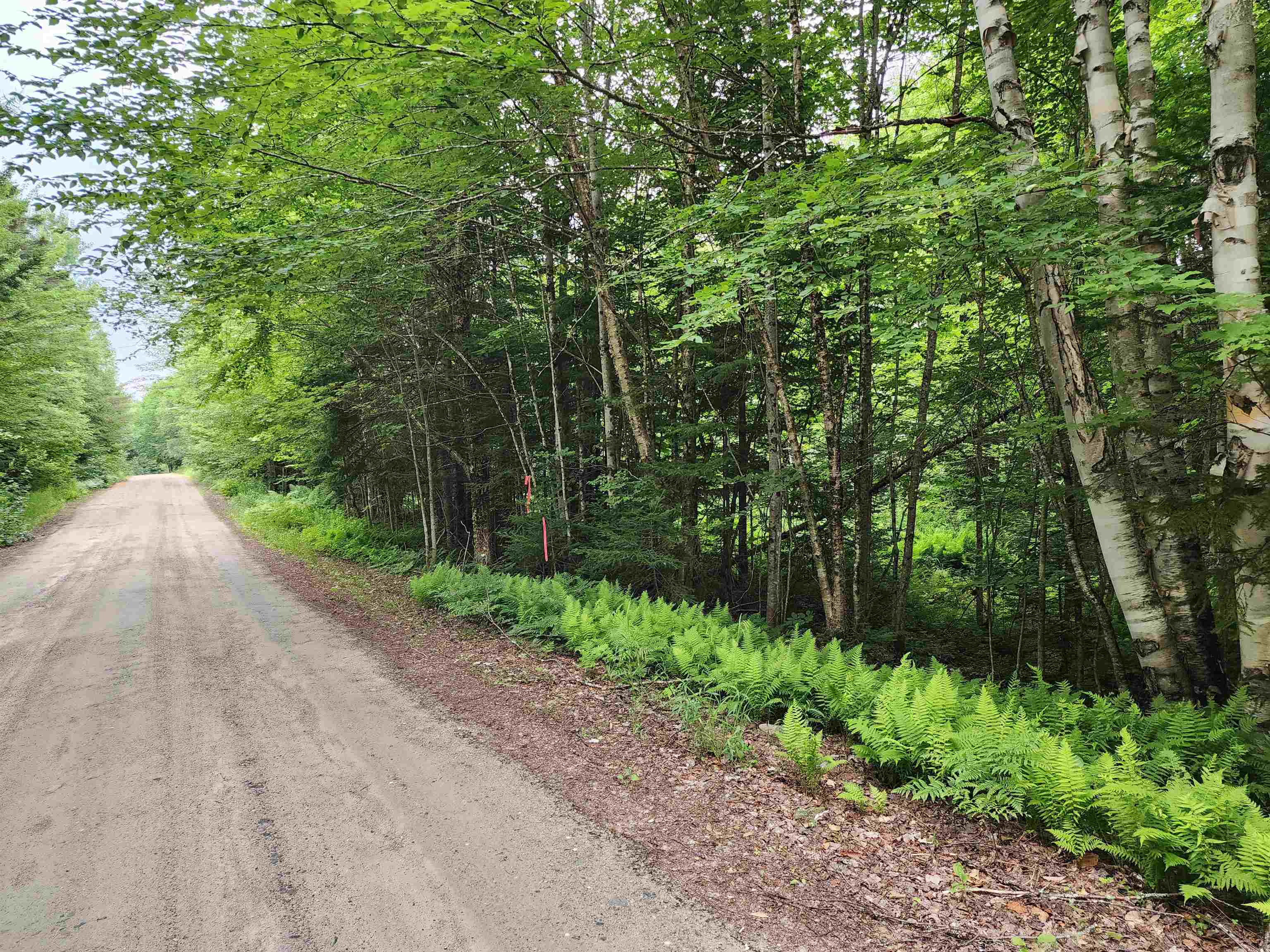 Lot 3 North Mountain Pond Rd, Errol, NH 03579