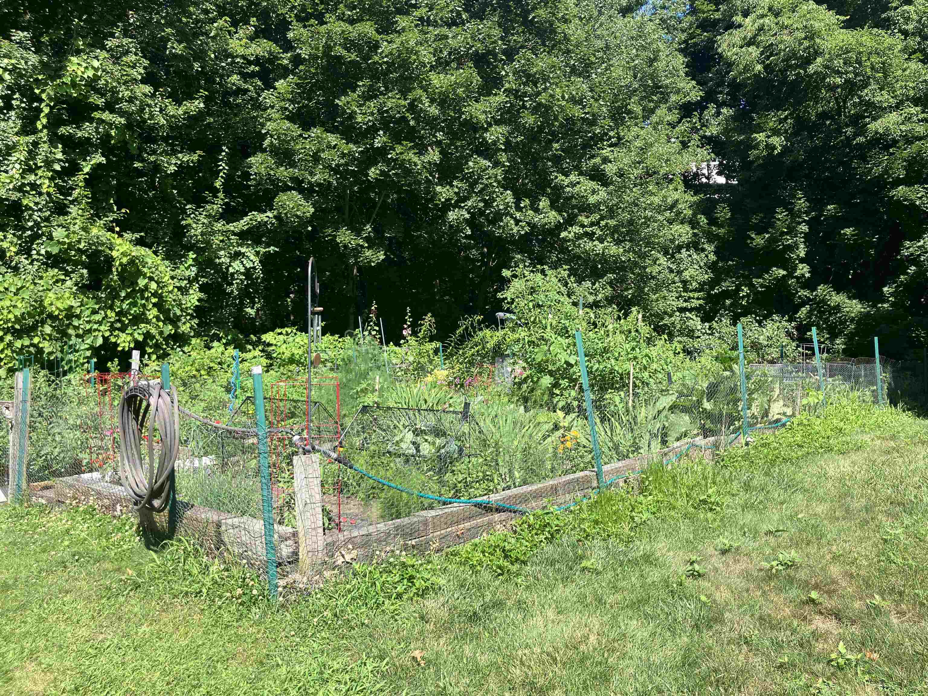 Community Garden on a Lottery System