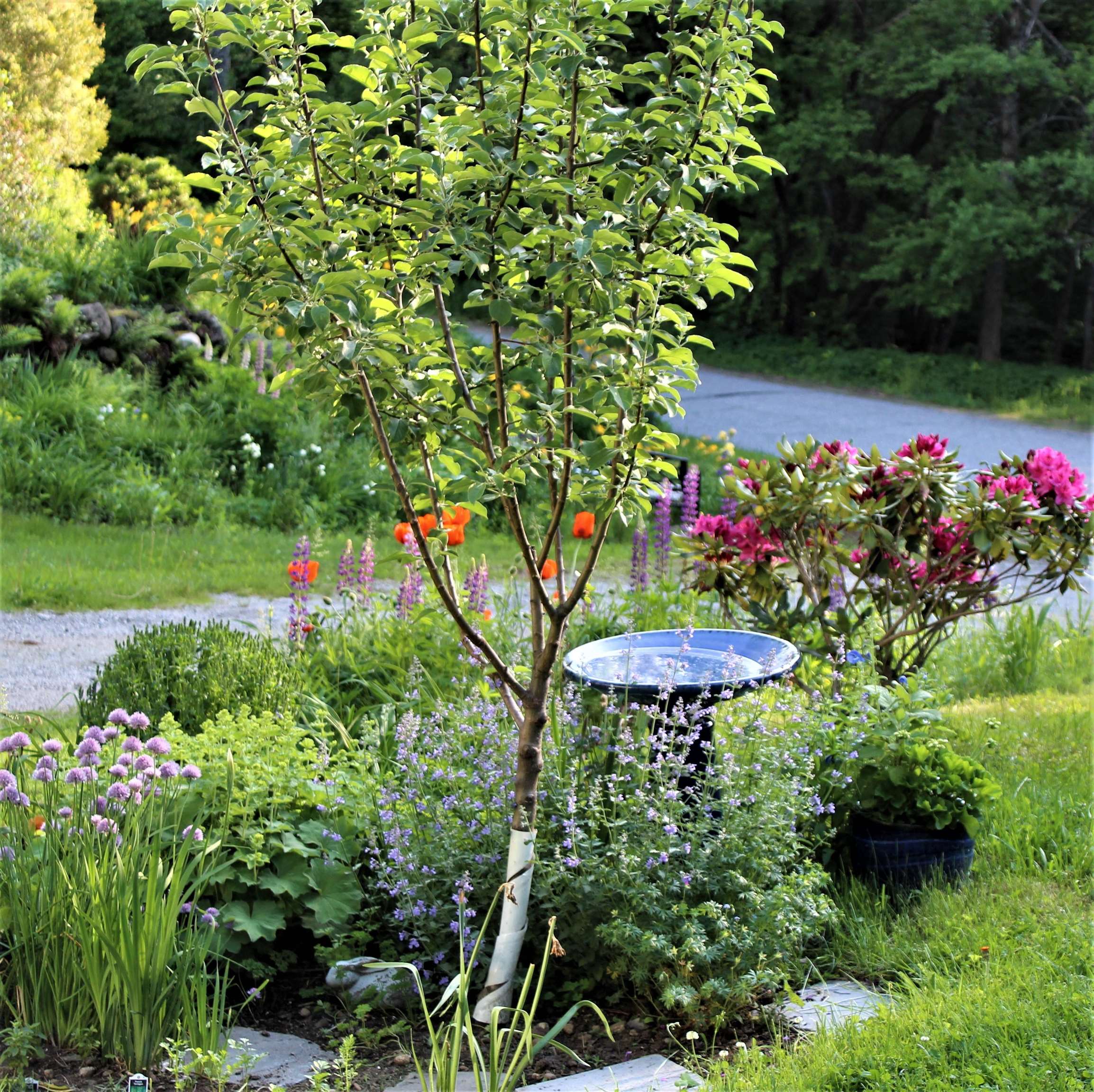 124 Washington Pond Rd, Marlow, NH 03456
