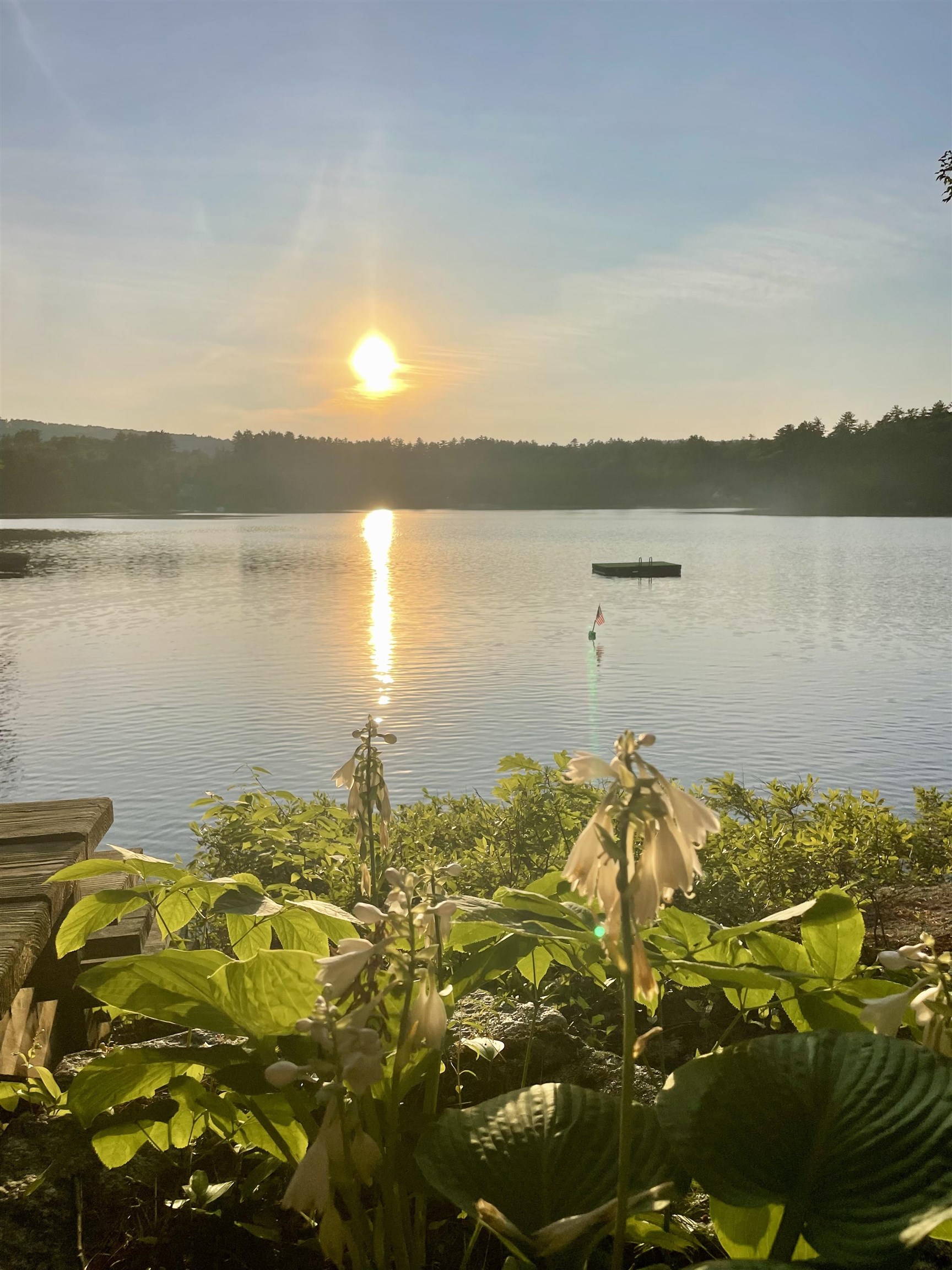 6 Lake Shore Ter, Hillsborough, NH 03244
