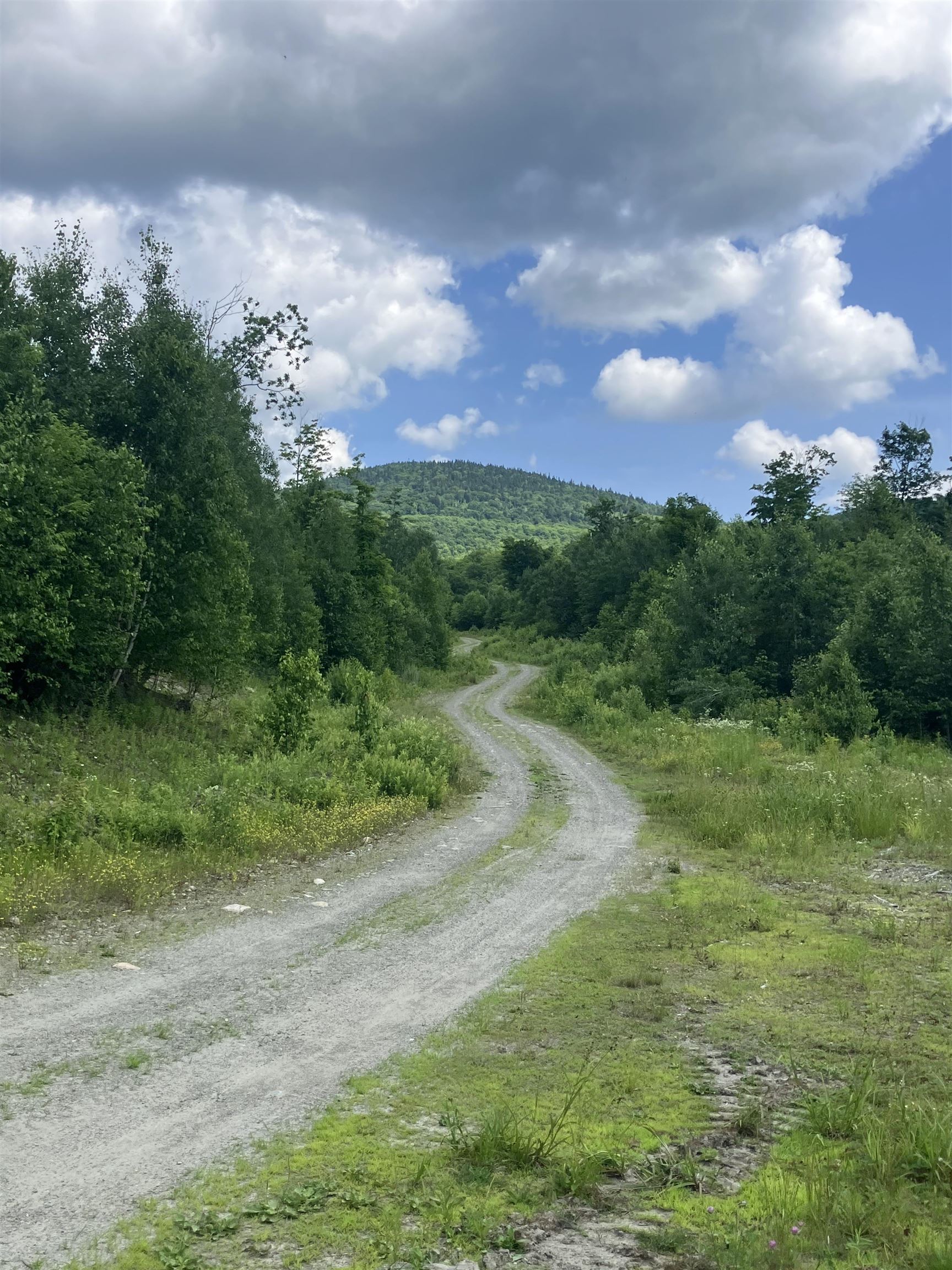 Lot 2-3 Washburn/meridan Hill Rd, Columbia, NH 03576