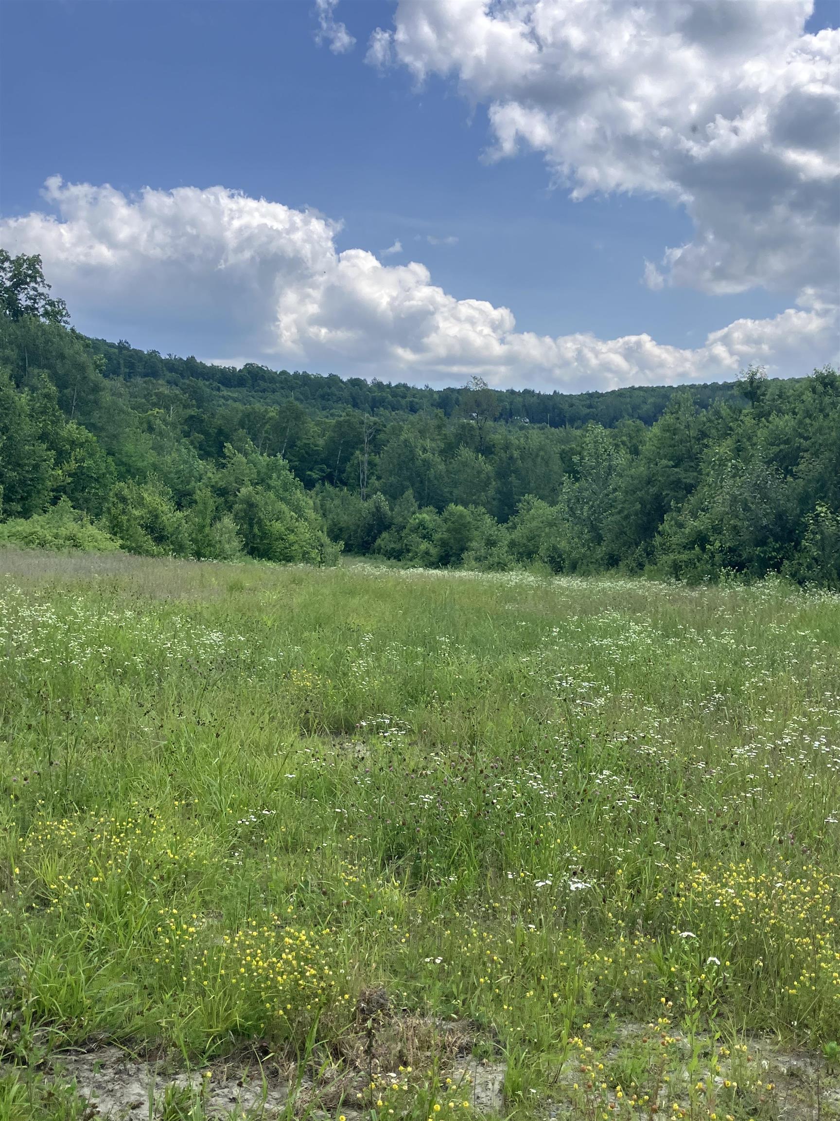 Lot 2-3 Washburn/meridan Hill Rd, Columbia, NH 03576
