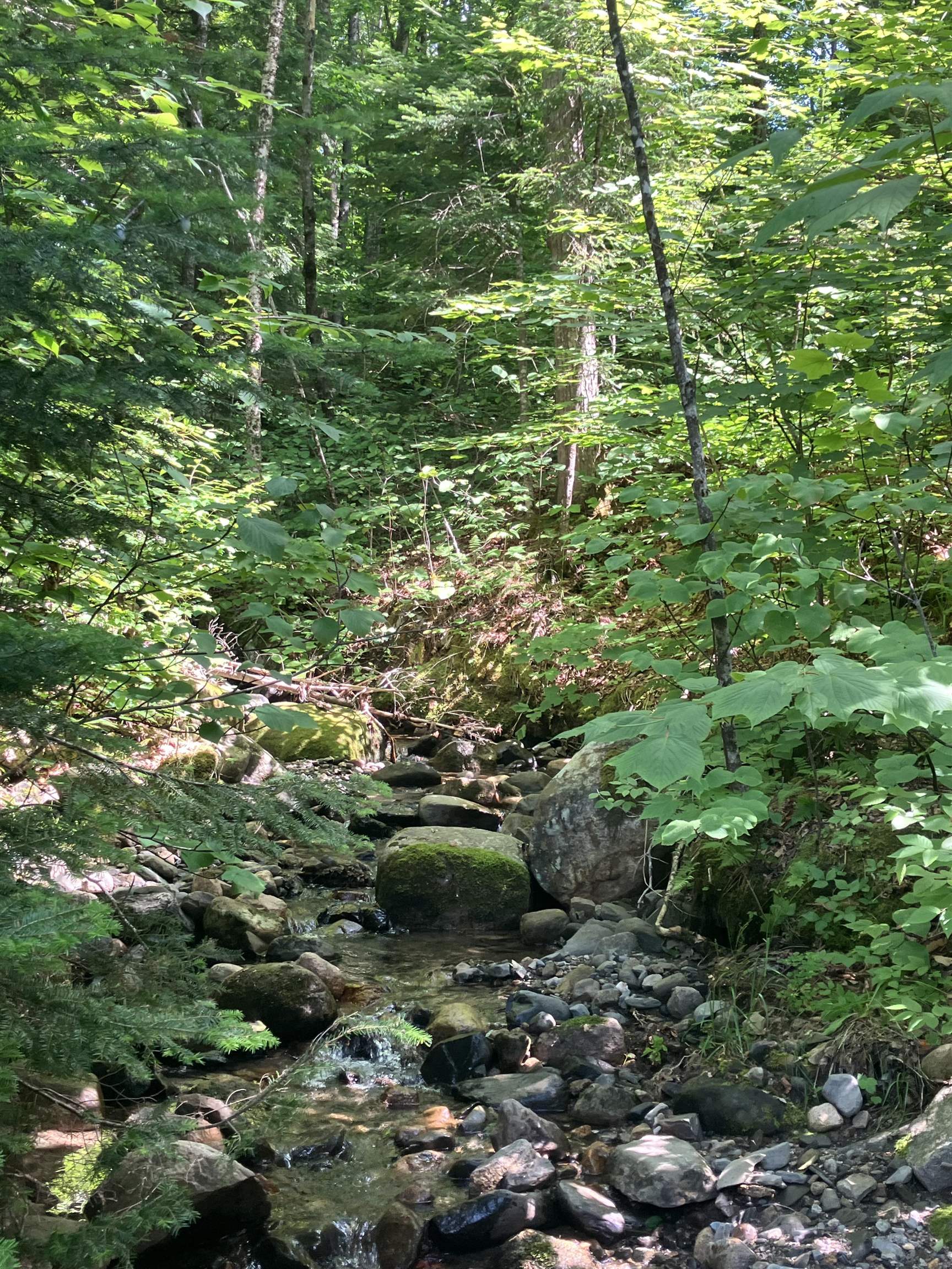 Lot 2-3 Washburn/meridan Hill Rd, Columbia, NH 03576