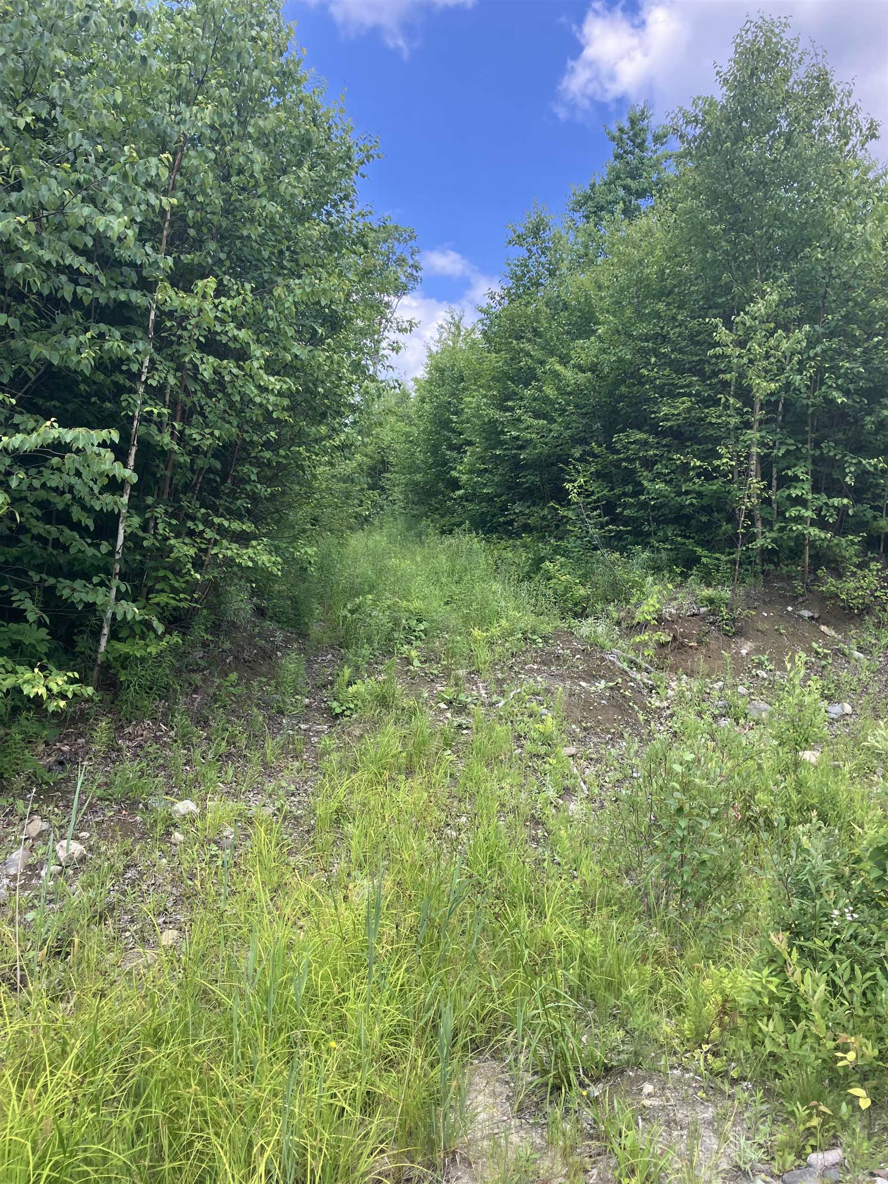 Lot 2-3 Washburn/meridan Hill Rd, Columbia, NH 03576